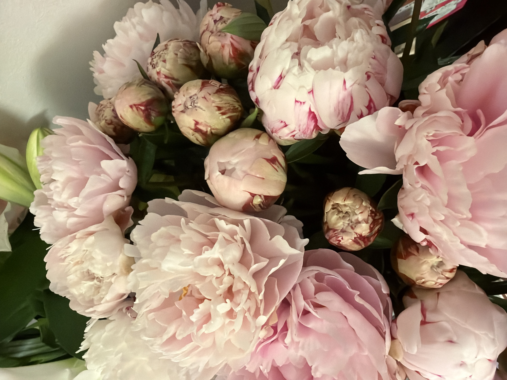 Pink and white peony bouquet photographed in London evening