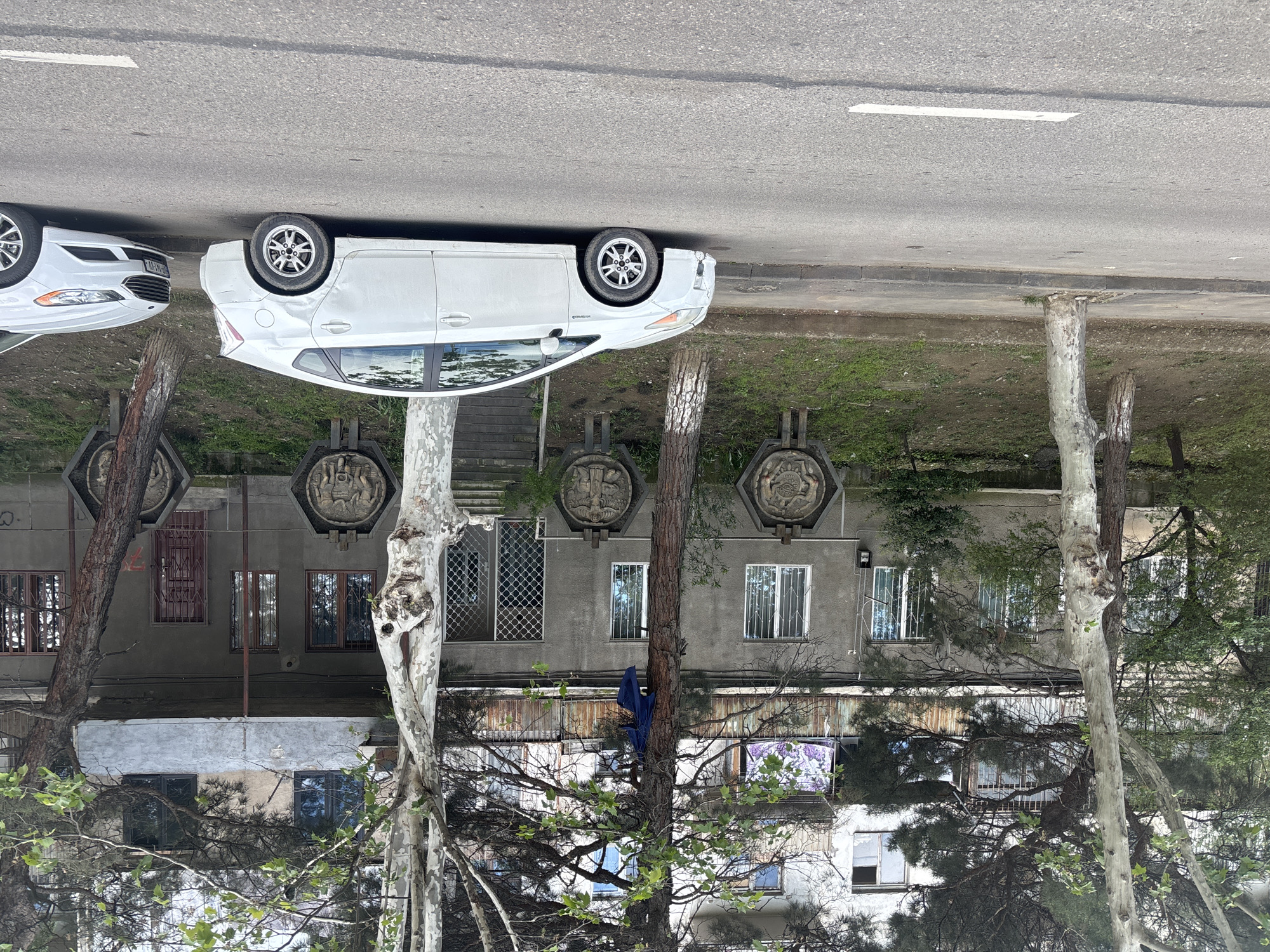 Woman in leather jacket spotted in car in Tbilisi
