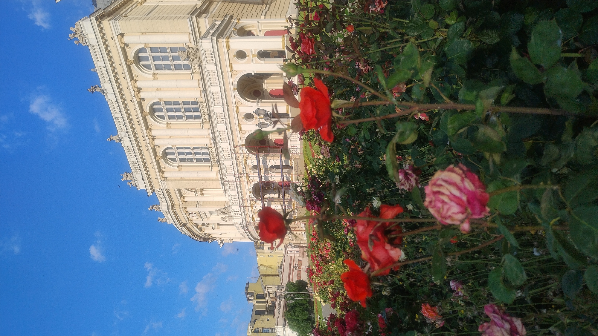 Up close with a classical landmark: columns, roses, and ornate details