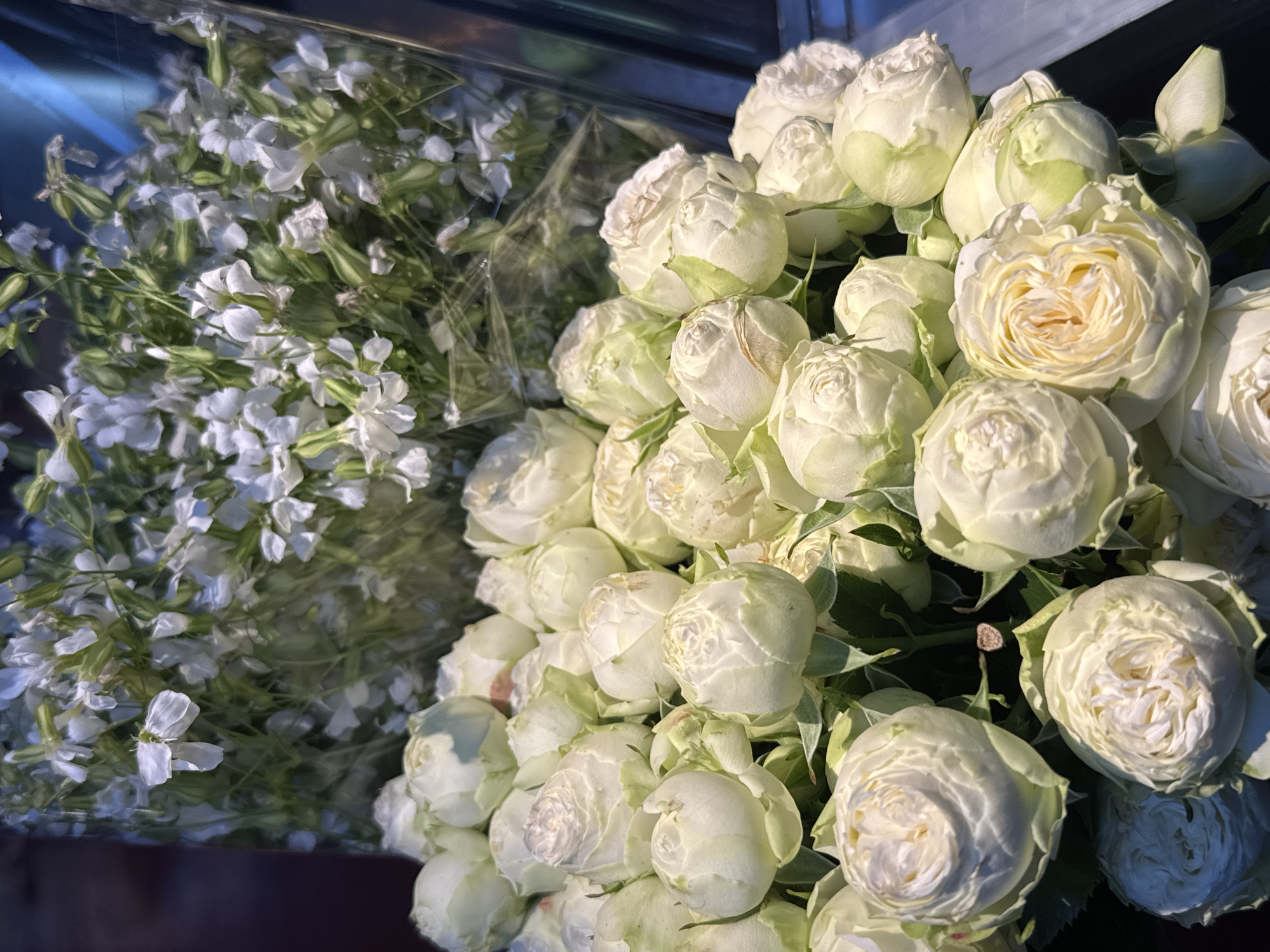 Yerevan witness captures flowers and street scenes during evening
