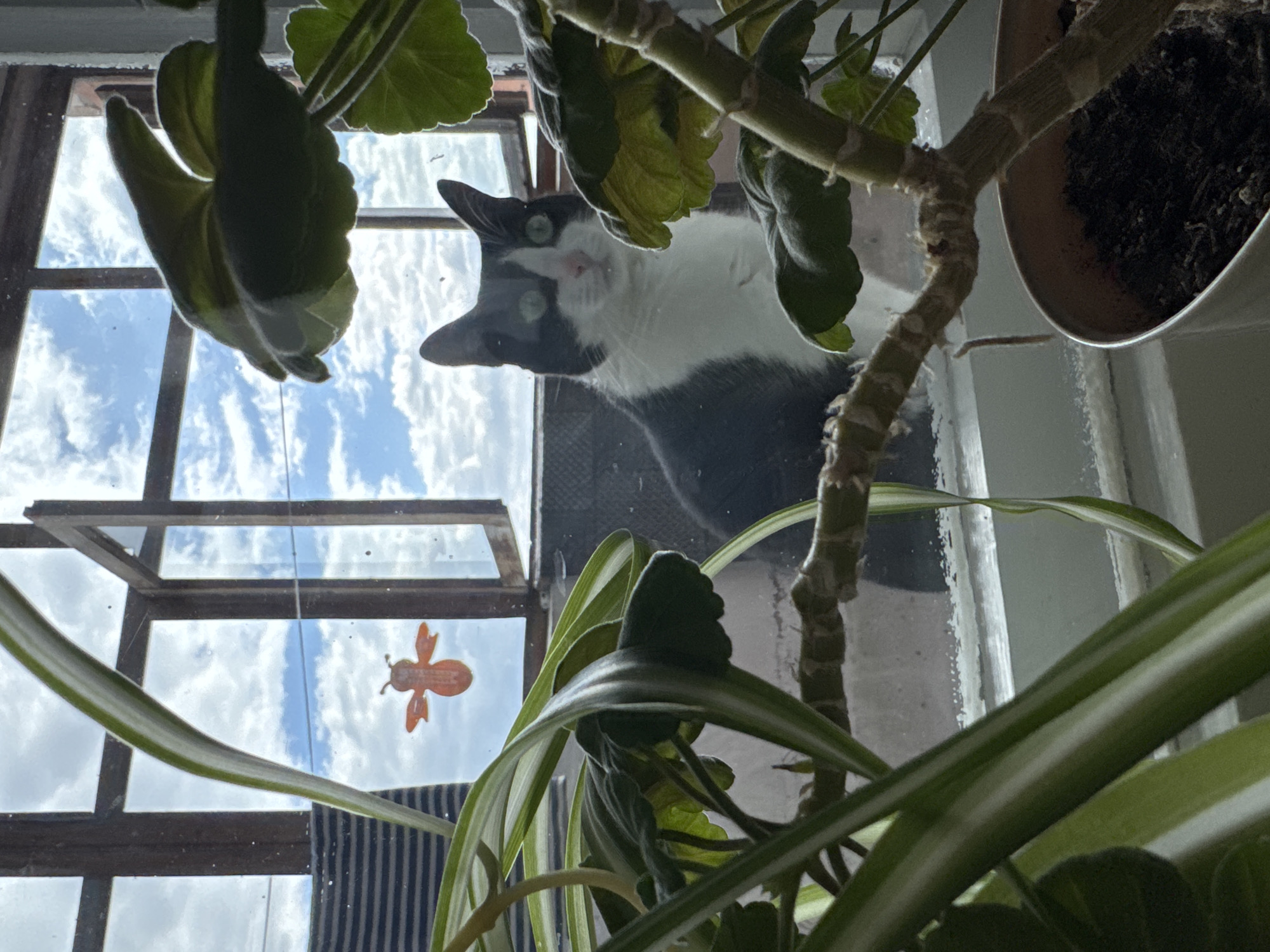 Morning scenes documented across Chaikovsky, Russia by single witness