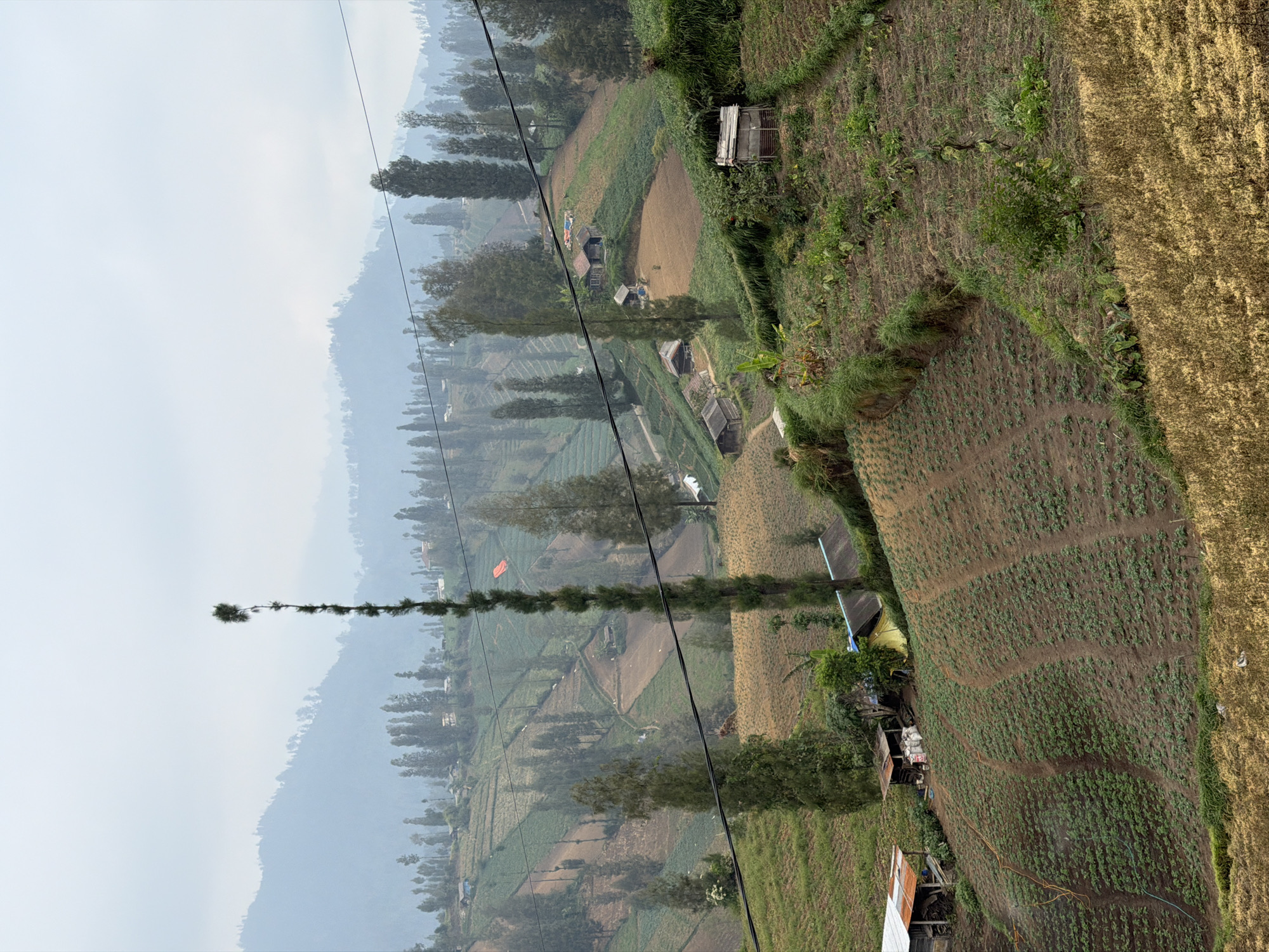 Terraced fields, dense cemeteries, and mountain roads in Ngadas, Java