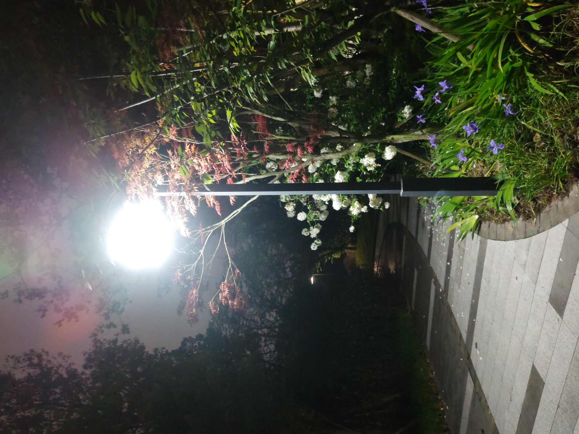 Evening stroll documented through Chongqing High-tech Zone parklands