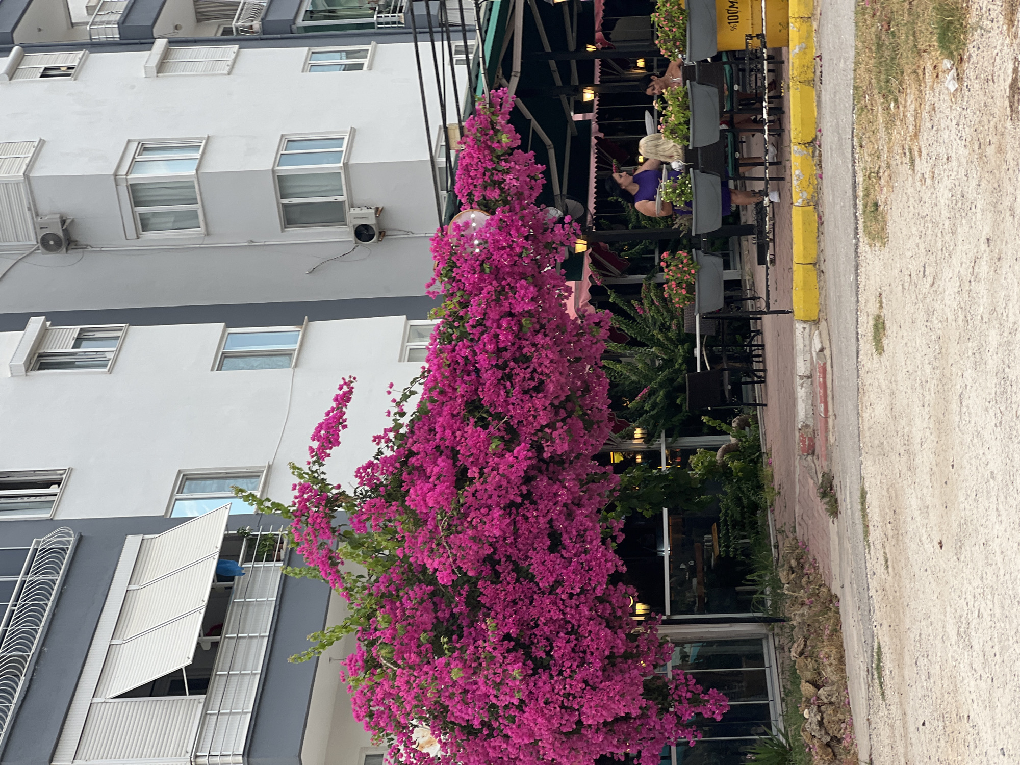 Afternoon stroll through Antalya's streets, flora and city life