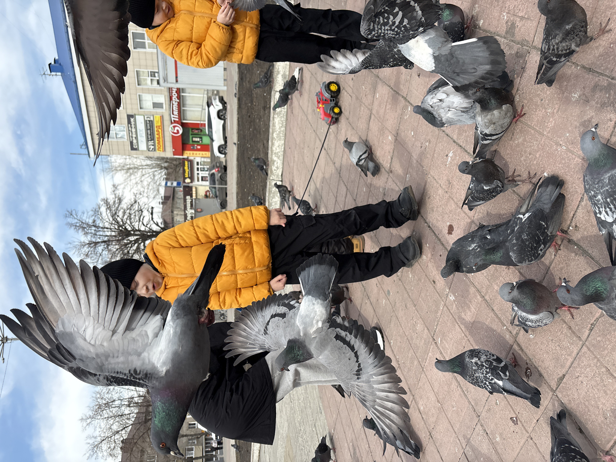 People feed pigeons in Ulyanovsk public square