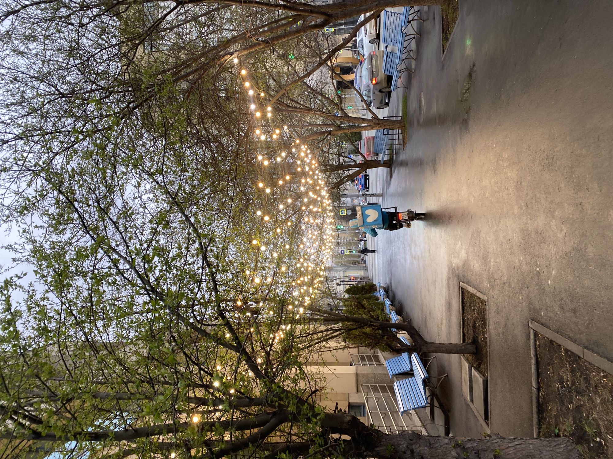 Post-rain street scenes documented in Yekaterinburg