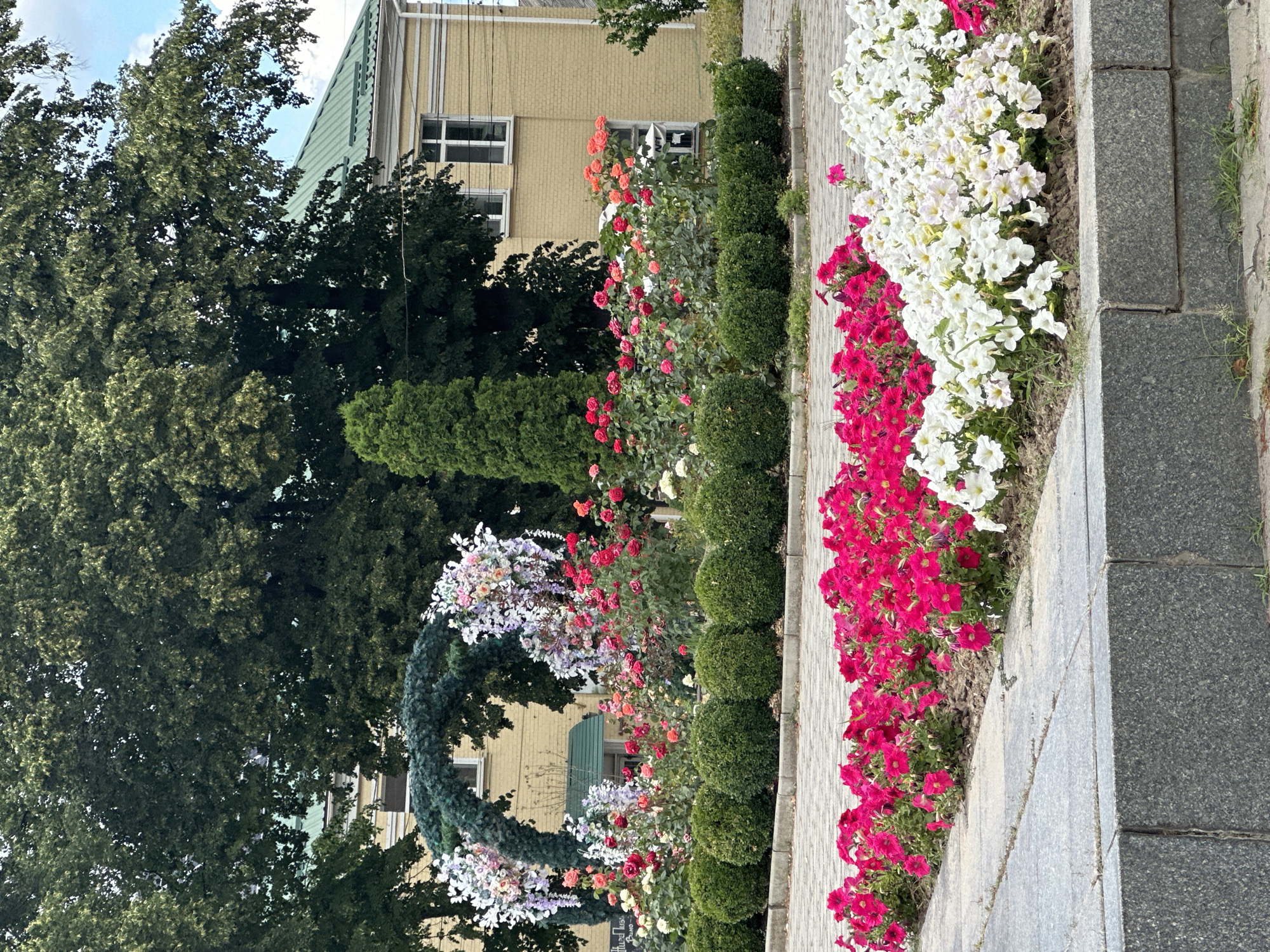 Zvenyhorodka's streets, parks, and SpongeBob topiaries on a July morning