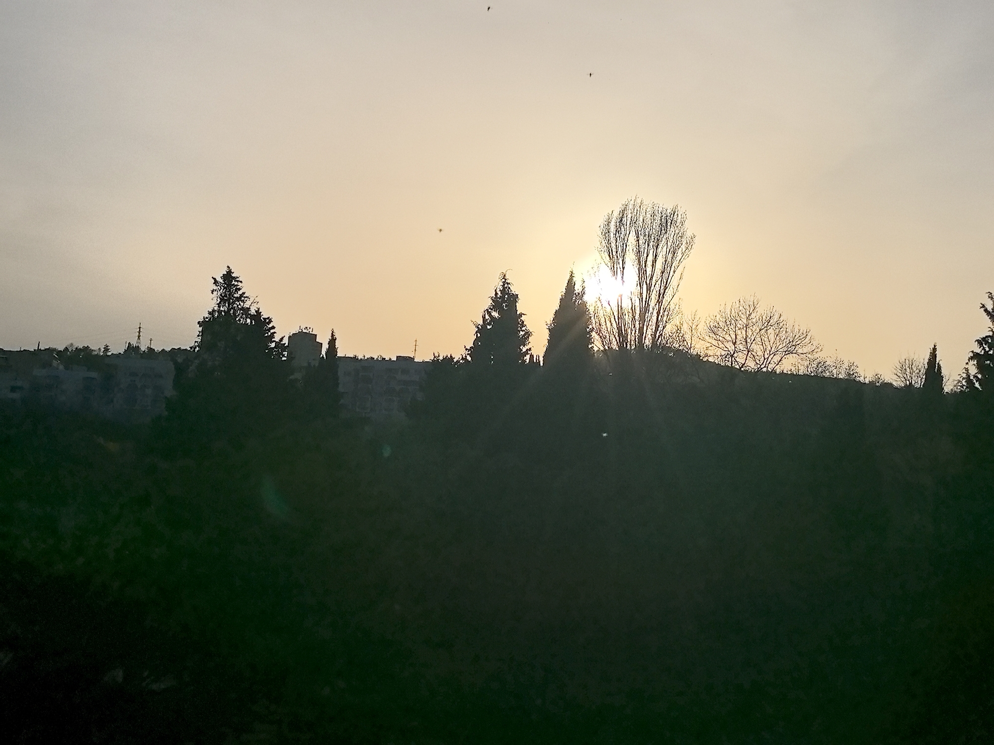 Sunset and floral art observed near Stara Zagora