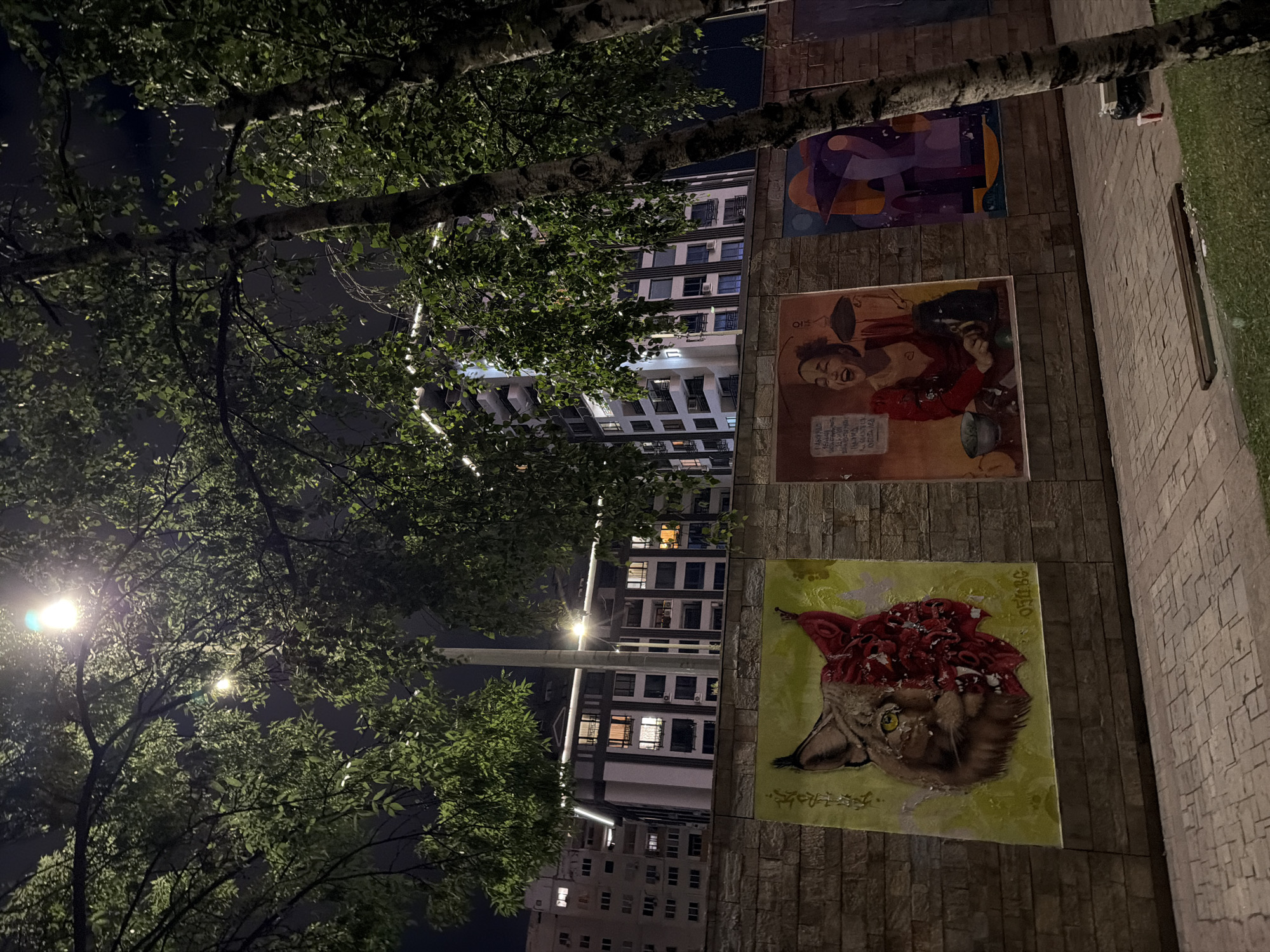 Street murals in Sofia explored at night, lynx piece front and center