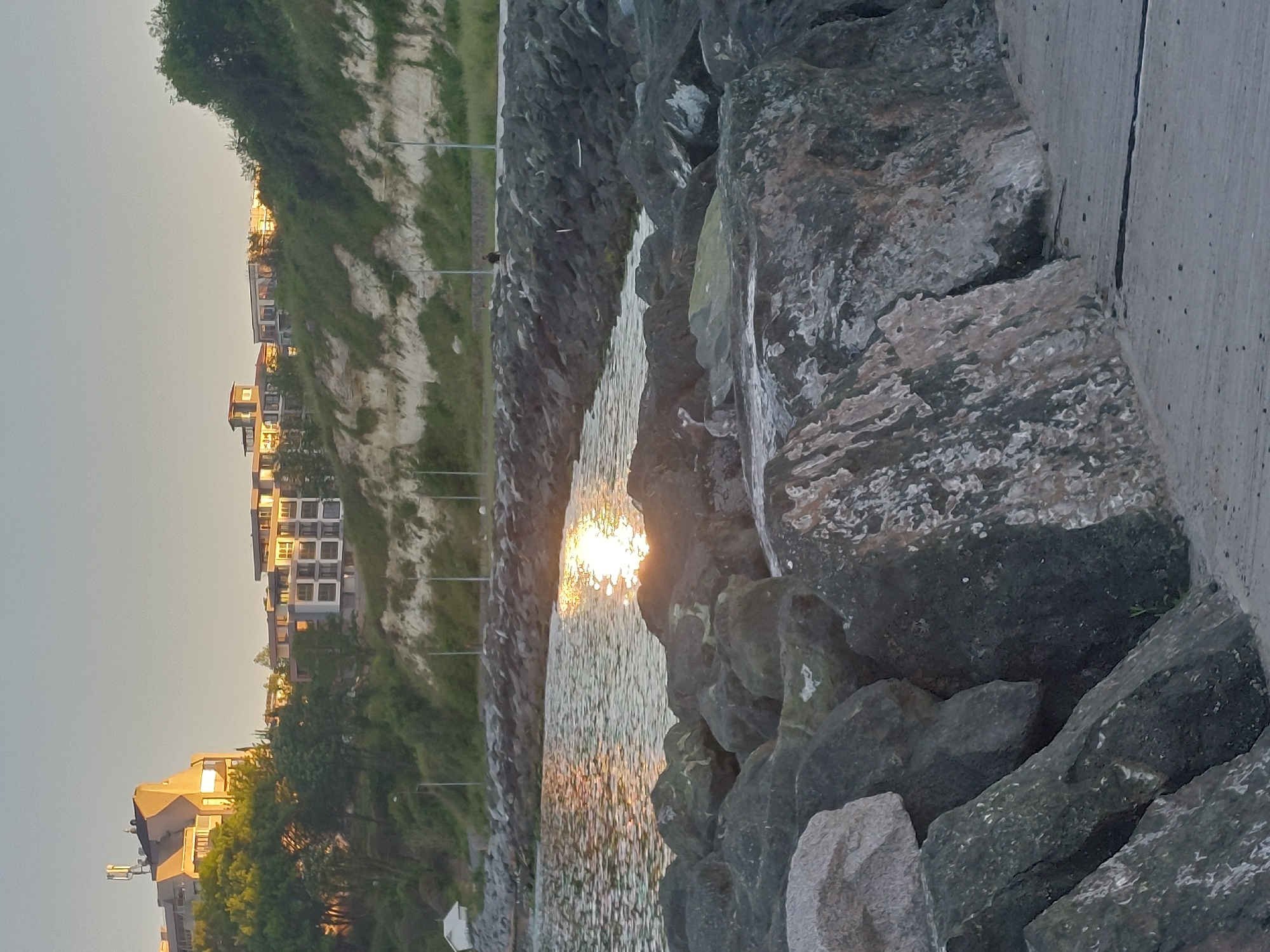 Dog spotted on Tsarevo waterfront during clear afternoon