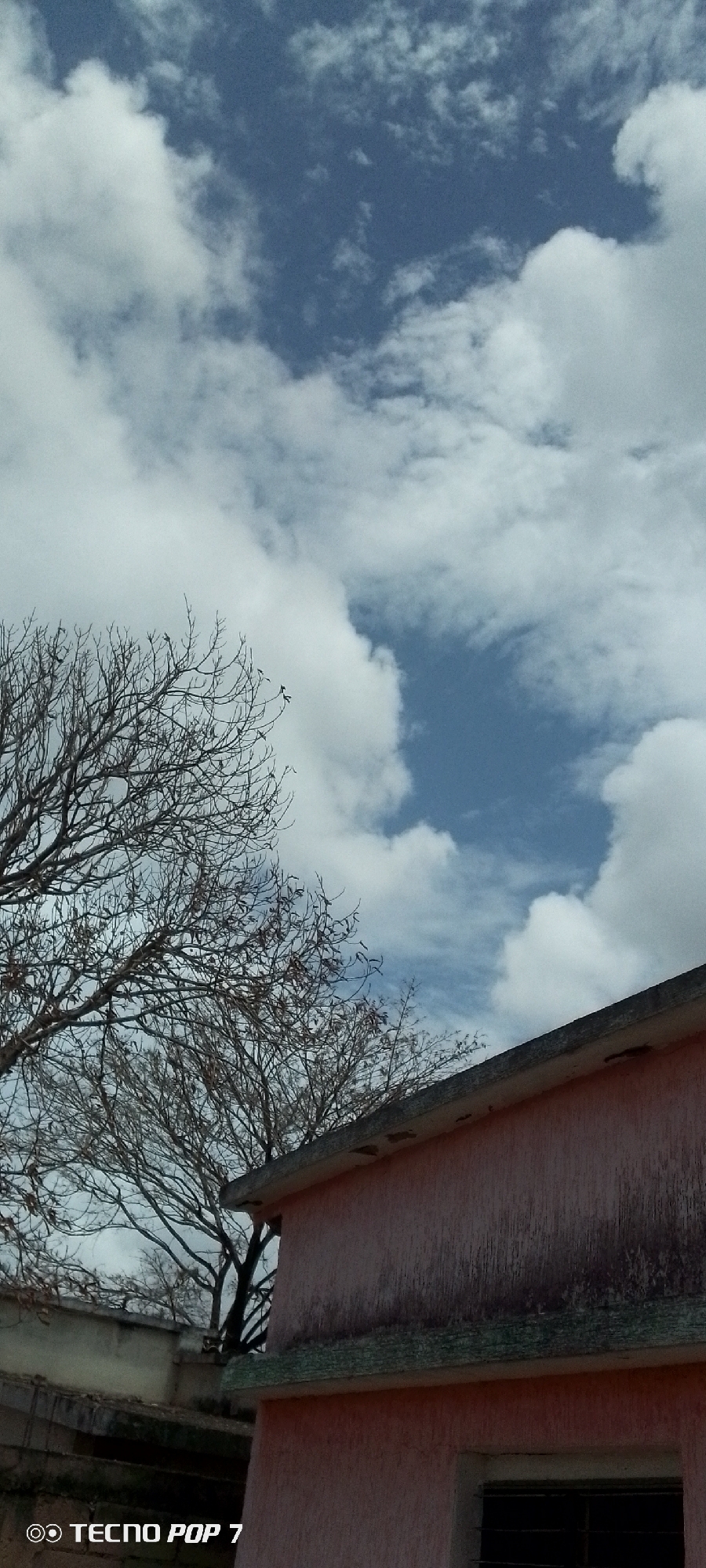 Sky-watching session captured in Altagracia, Venezuela over 20 minutes