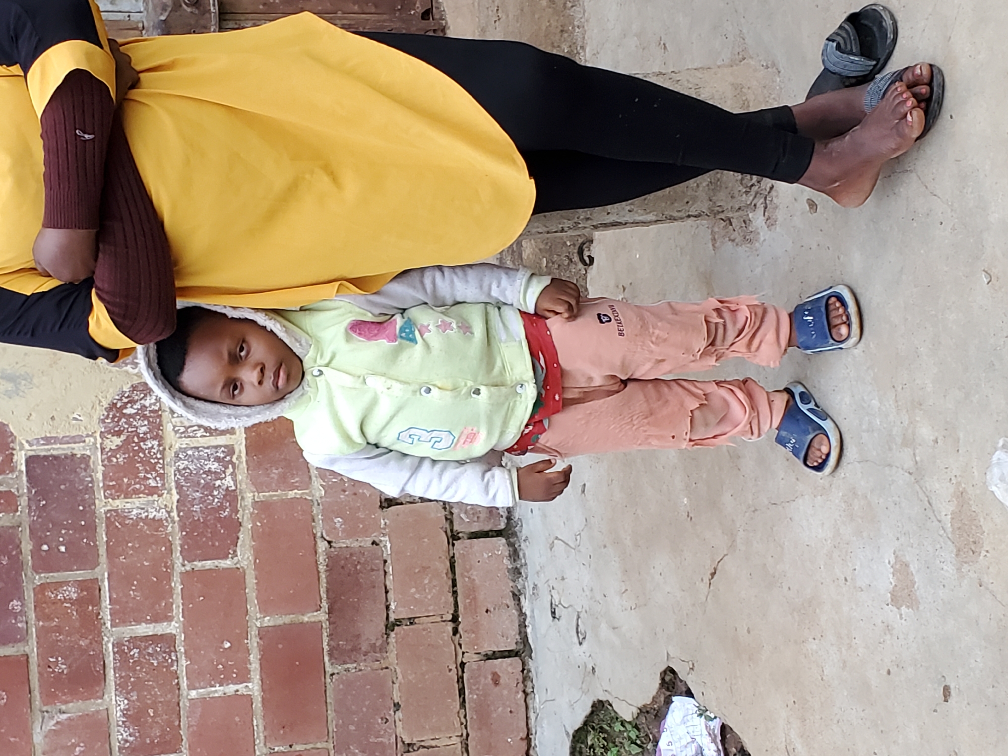 Everyday life in Jos: streets, livestock, and locals