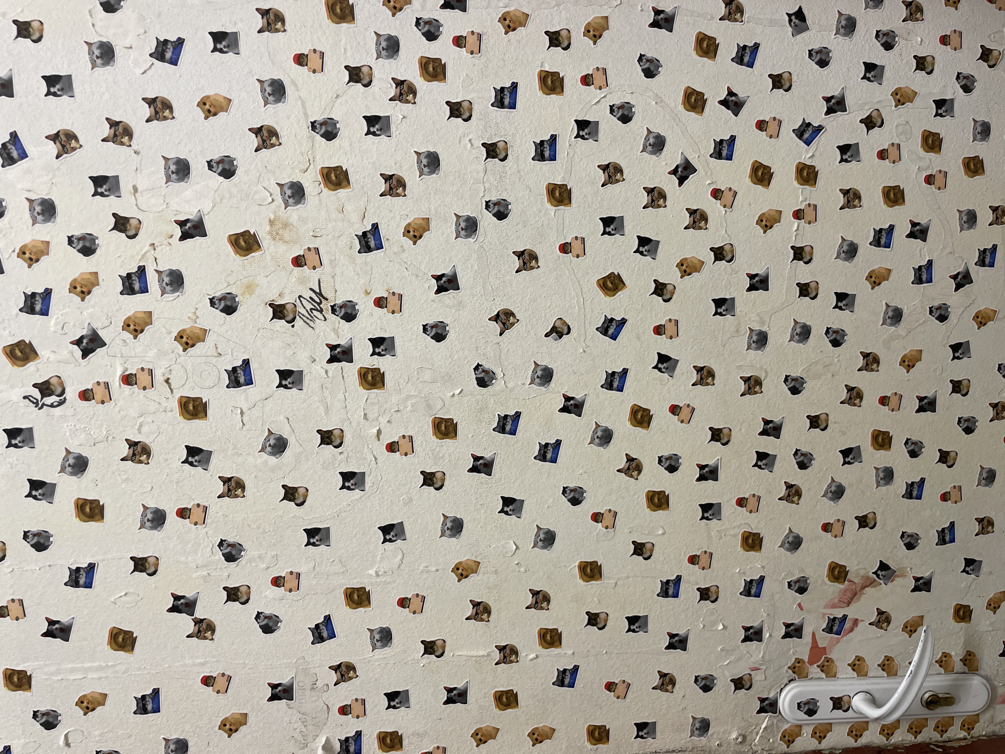 Eclectic art objects and novelty items documented in Sofia