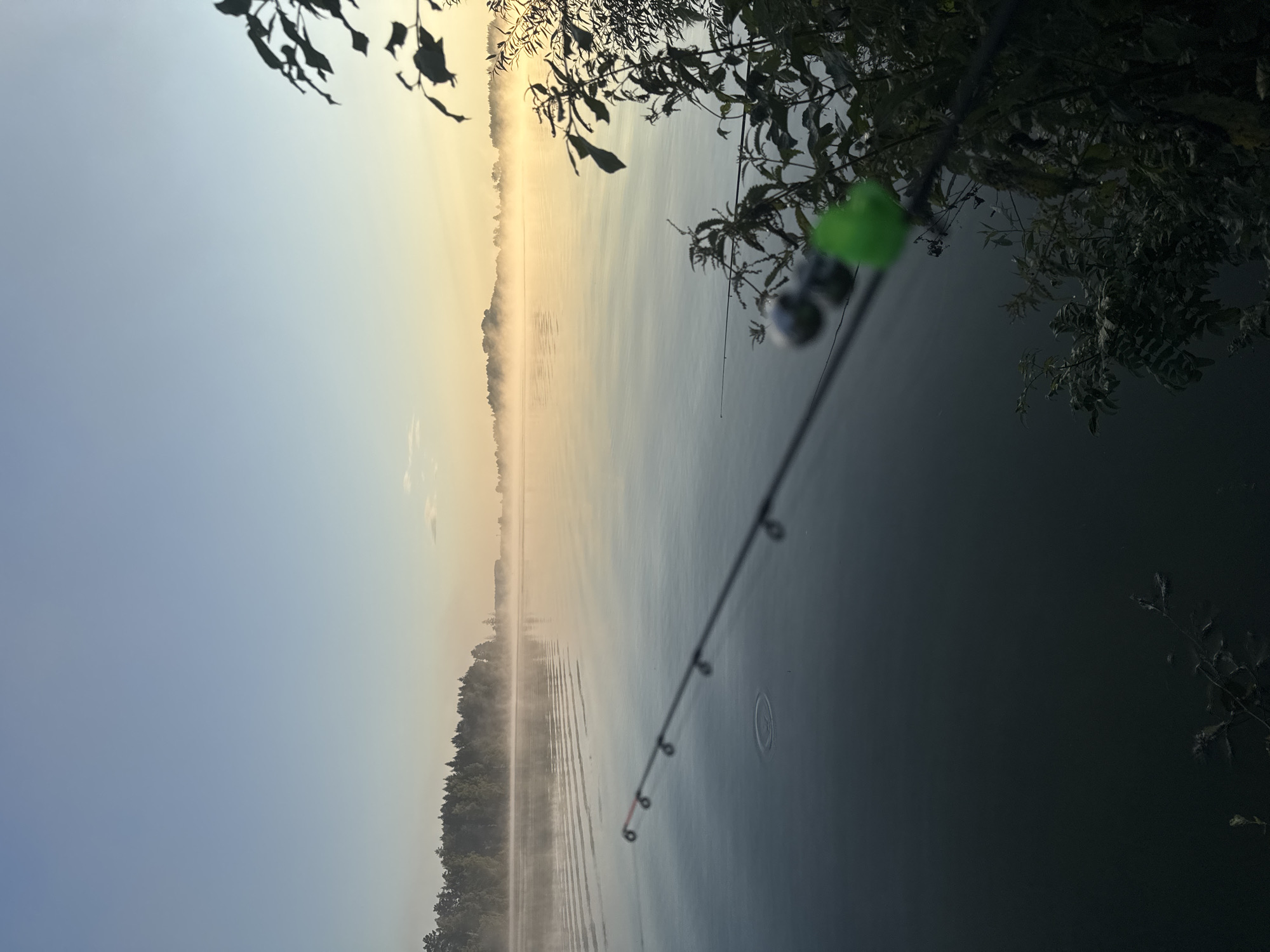 Quiet lakeside fishing at dawn, mist on the water