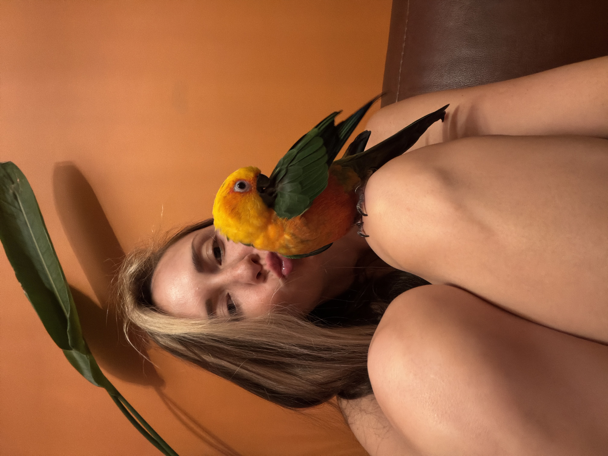 Woman with parrot, three-wheeler rider documented in separate incidents