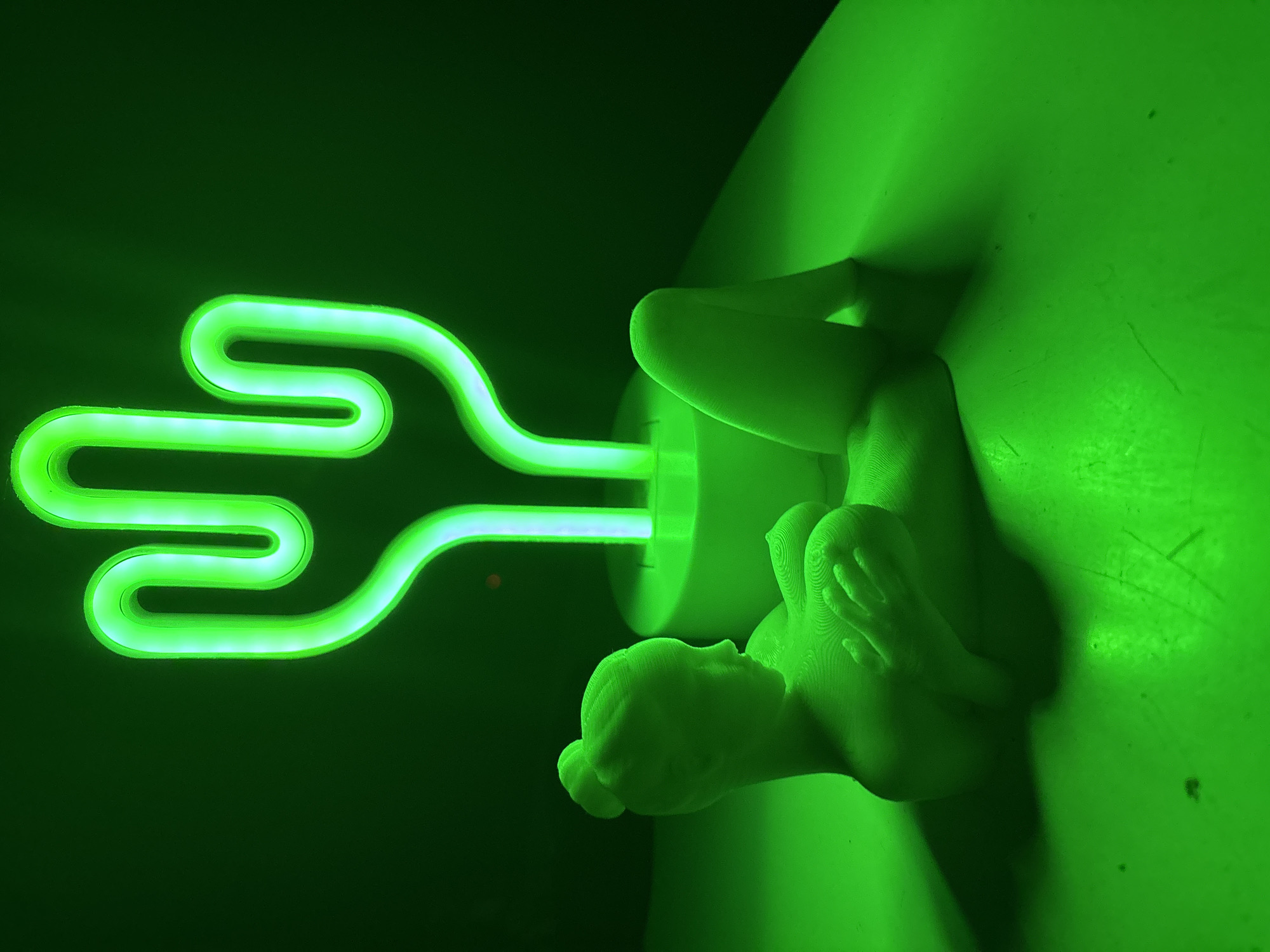 Neon cactus light anchors an eclectic indoor still-life session