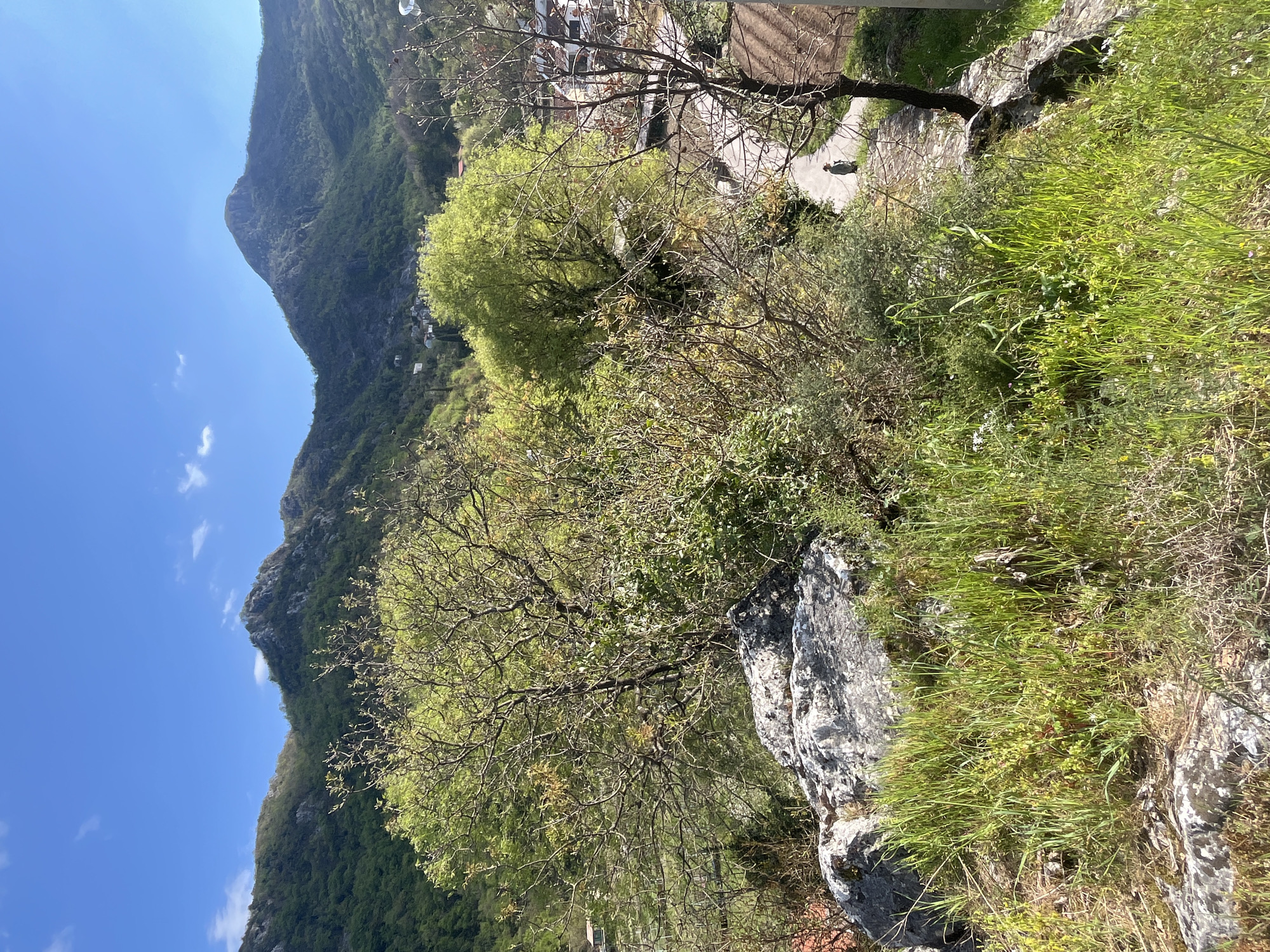 Spring scenes documented across Godinje, Montenegro in 15-minute walk