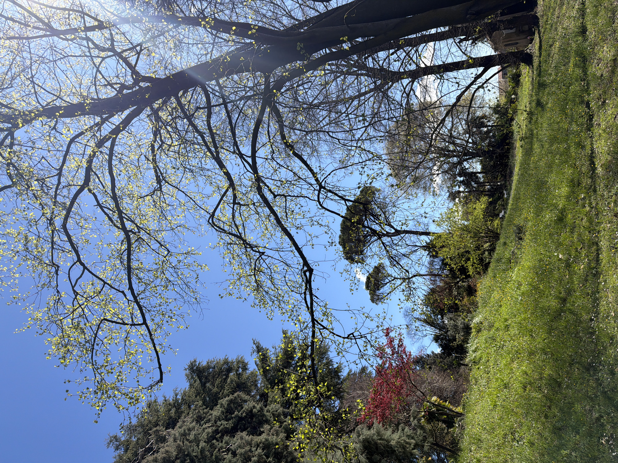Spring scenes and work schedules captured in Erba, Italy