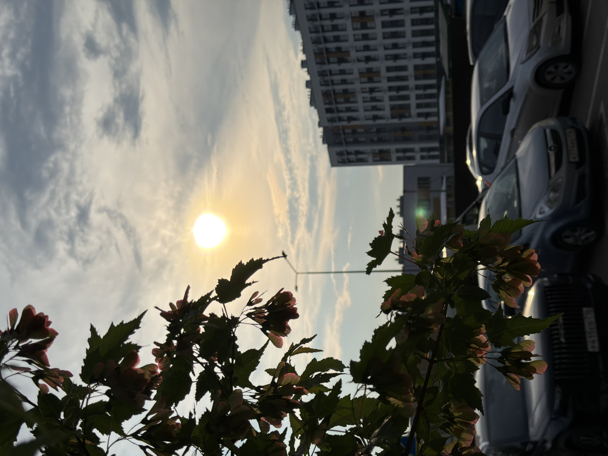 Summer nature and city scenes near a Day of Youth 2026 stadium