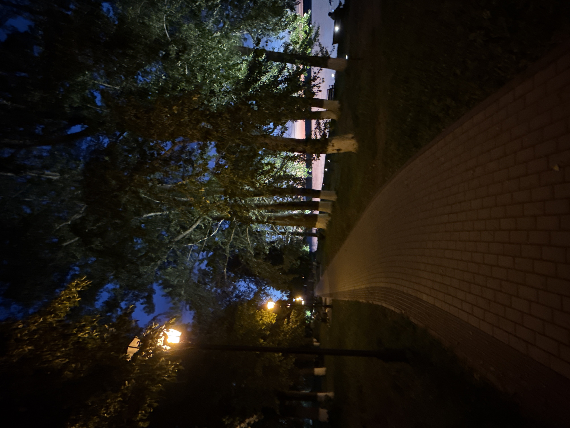 Midsummer evening along the Votkinsk Reservoir waterfront