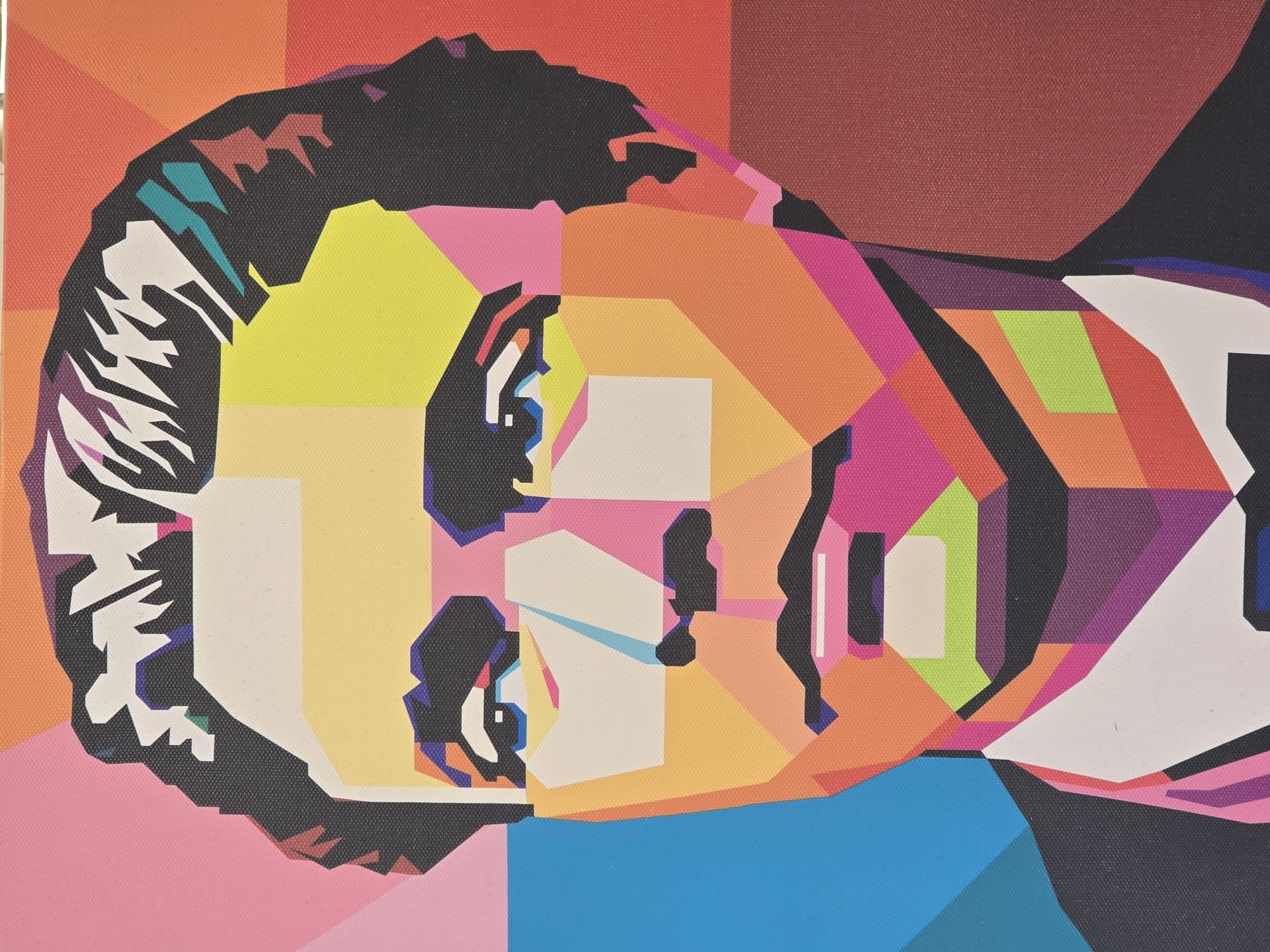 Geometric pop art portrait documented at undisclosed location