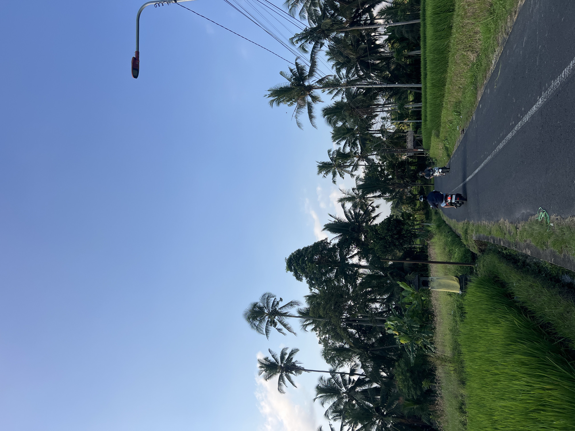 Serene morning landscape documented in rural Tampaksiring, Indonesia