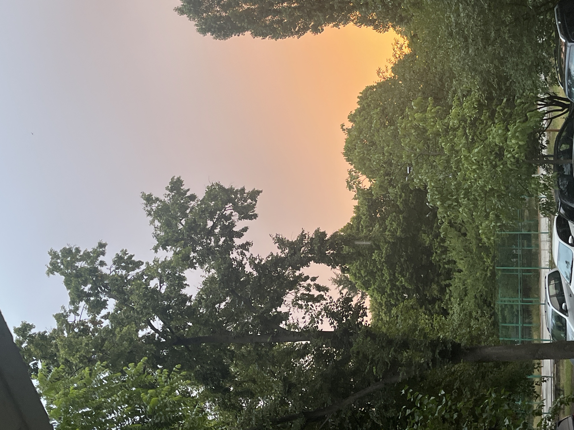 Cherkasy residential streets glow under a summer twilight sky