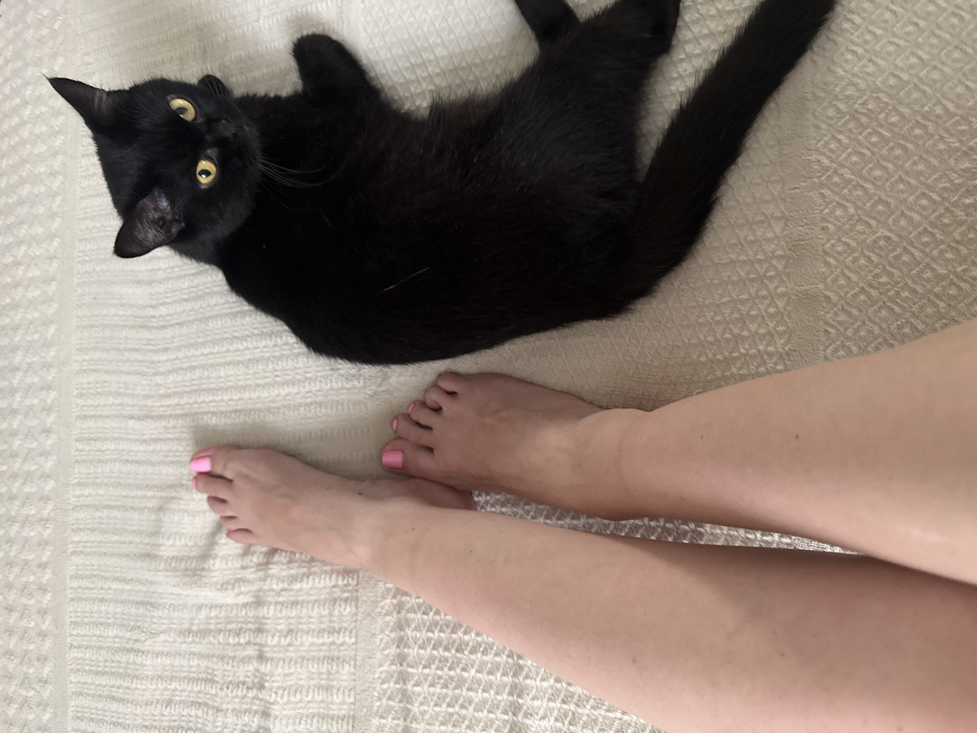 Lazy afternoon at home with cats in Bat Yam