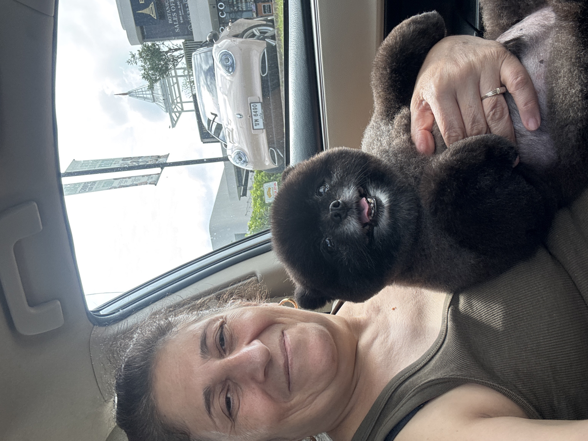 Black Pomeranian and its owner ride through Wichit traffic