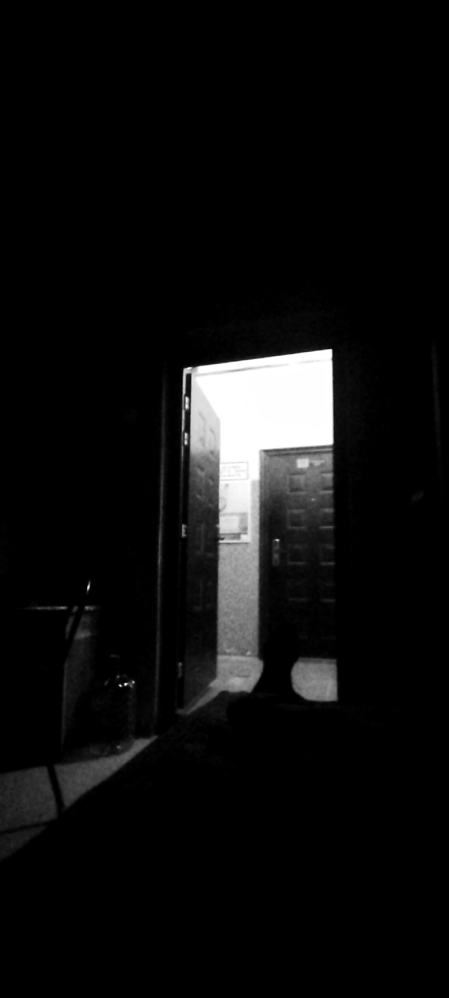 Quiet afternoon in and around a Siberian village building