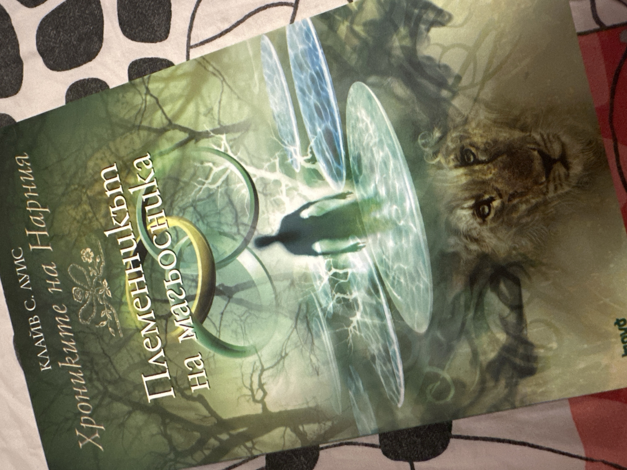 Sofia resident catalogs fantasy book collection during late night