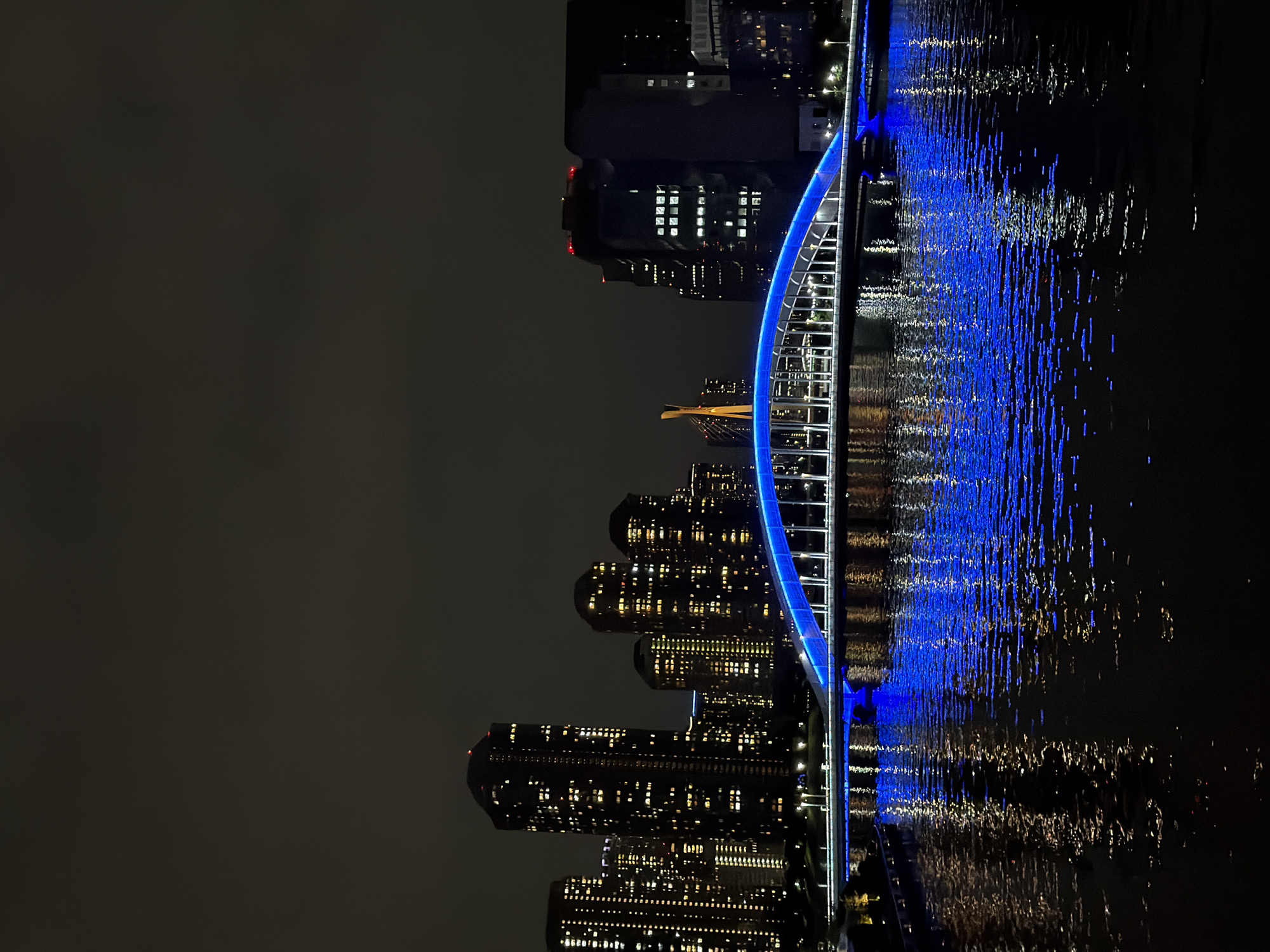 Woman captures nighttime Tokyo skyline selfies from illuminated bridge