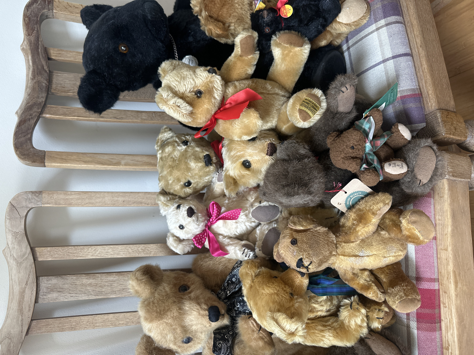 Teddy bear collections documented in Wealden homes