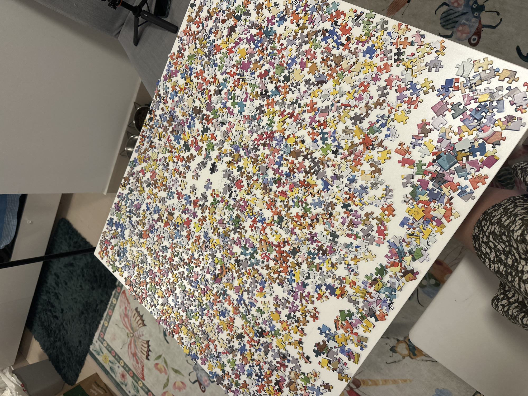 Jigsaw puzzle assembly documented in Zagreb, Croatia