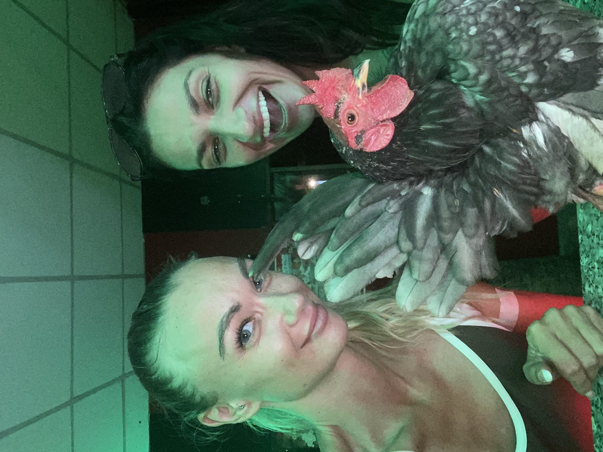 Neon-lit bar in Mũi Né features a rooster as the main event