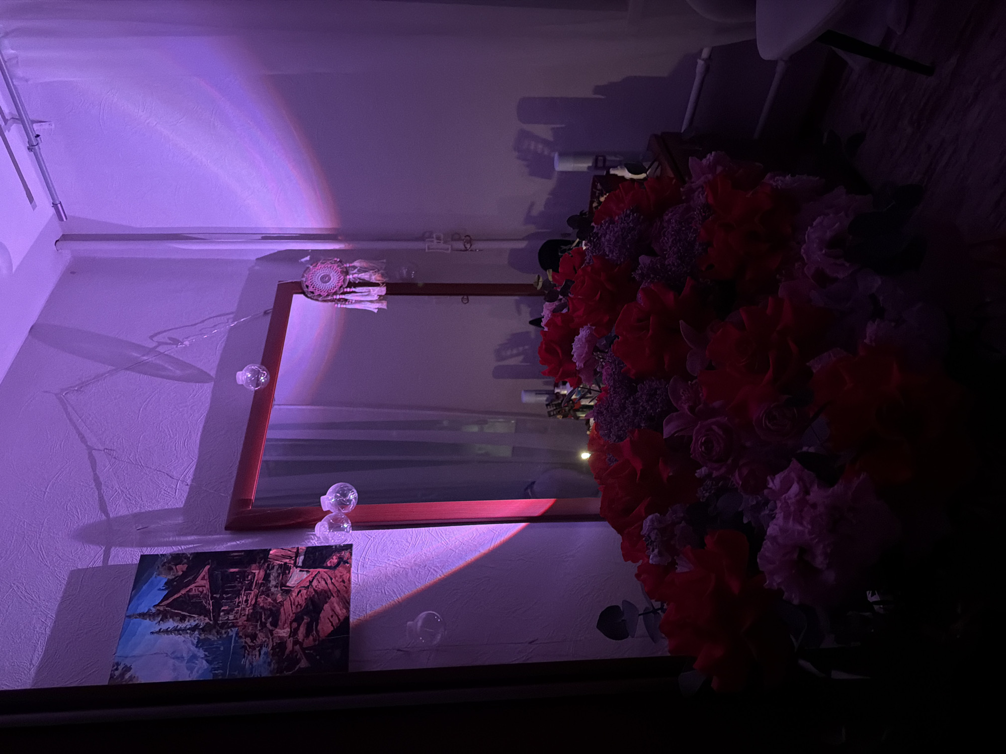 Moscow resident documents purple-lit indoor scene with decorative elements