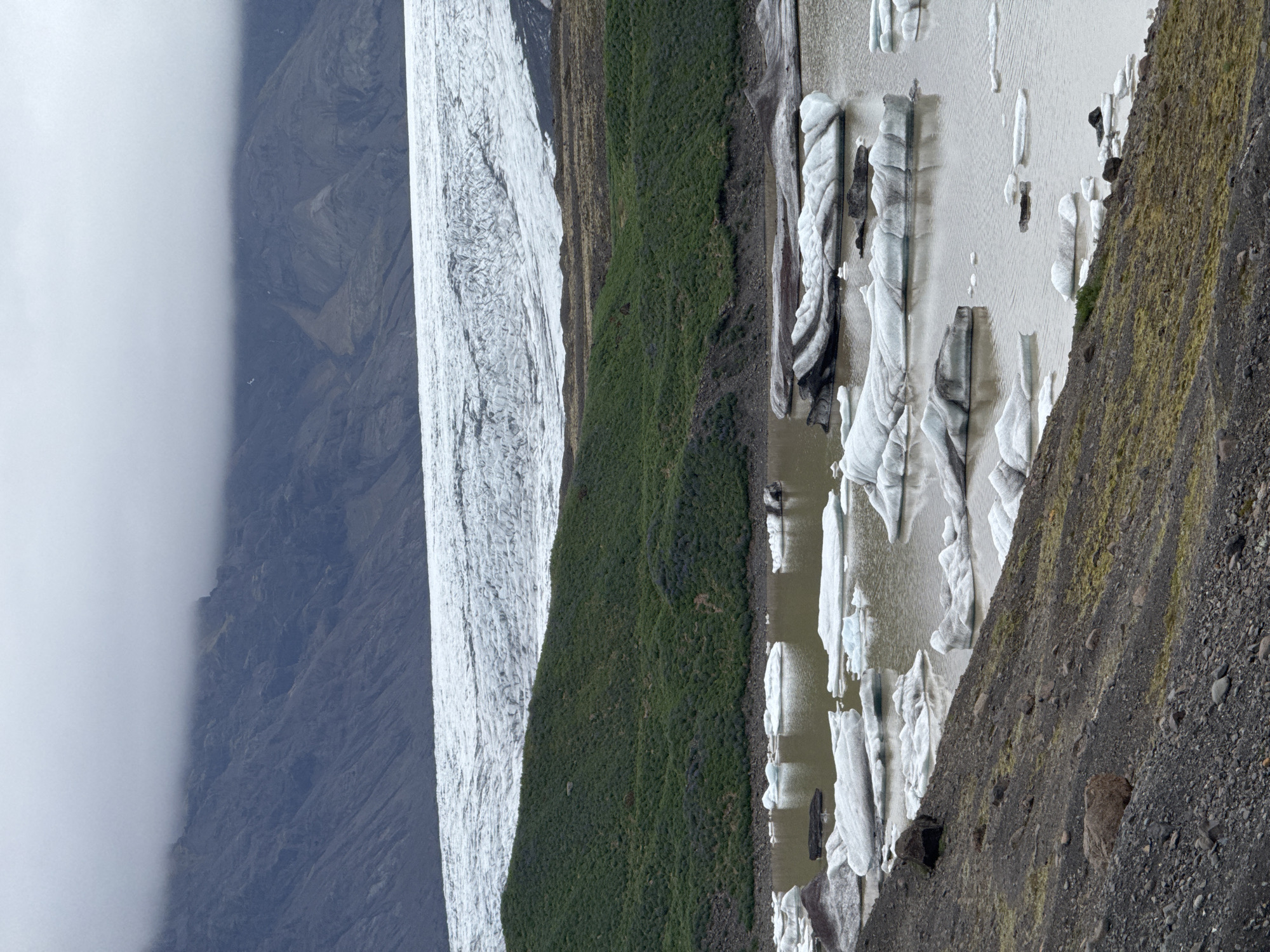 Witness documents Iceland glacial lagoon with blooming lupines