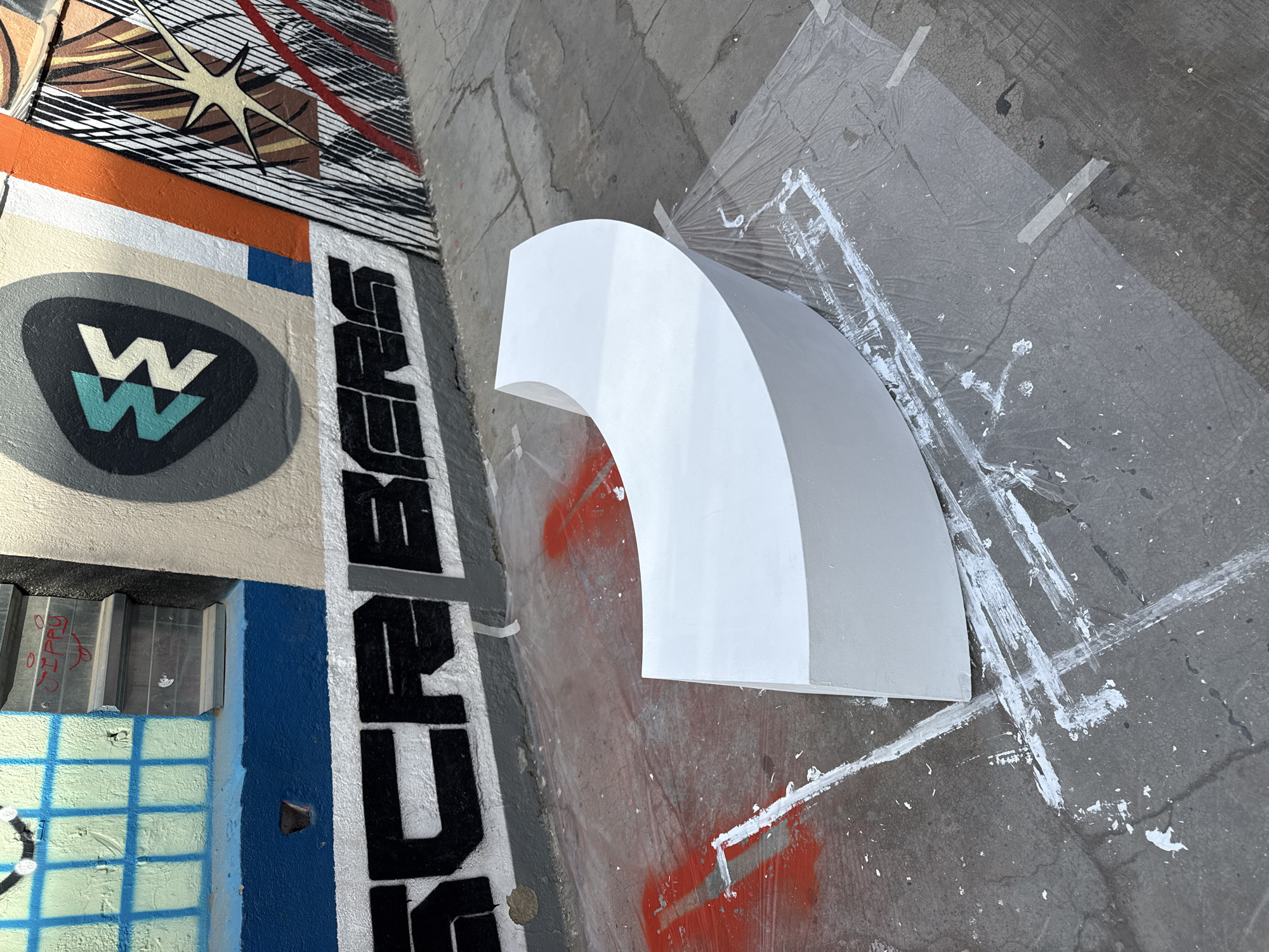 Barcelona alleyway street art and wildlife documented by witness