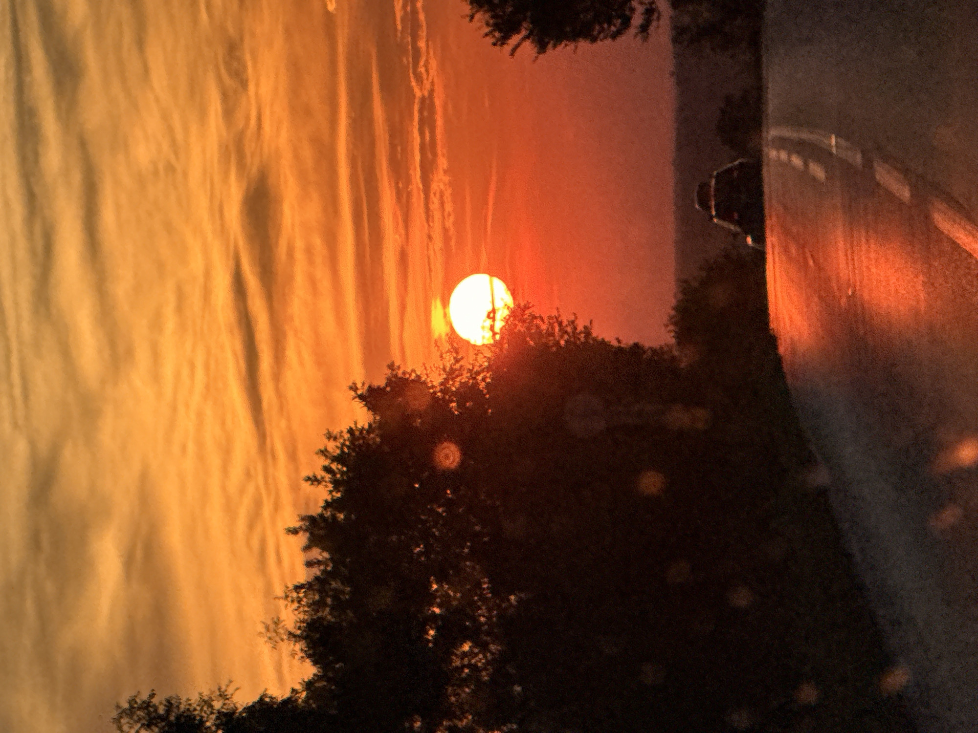 Vivid sunset behind silhouetted trees in rural Bulgaria