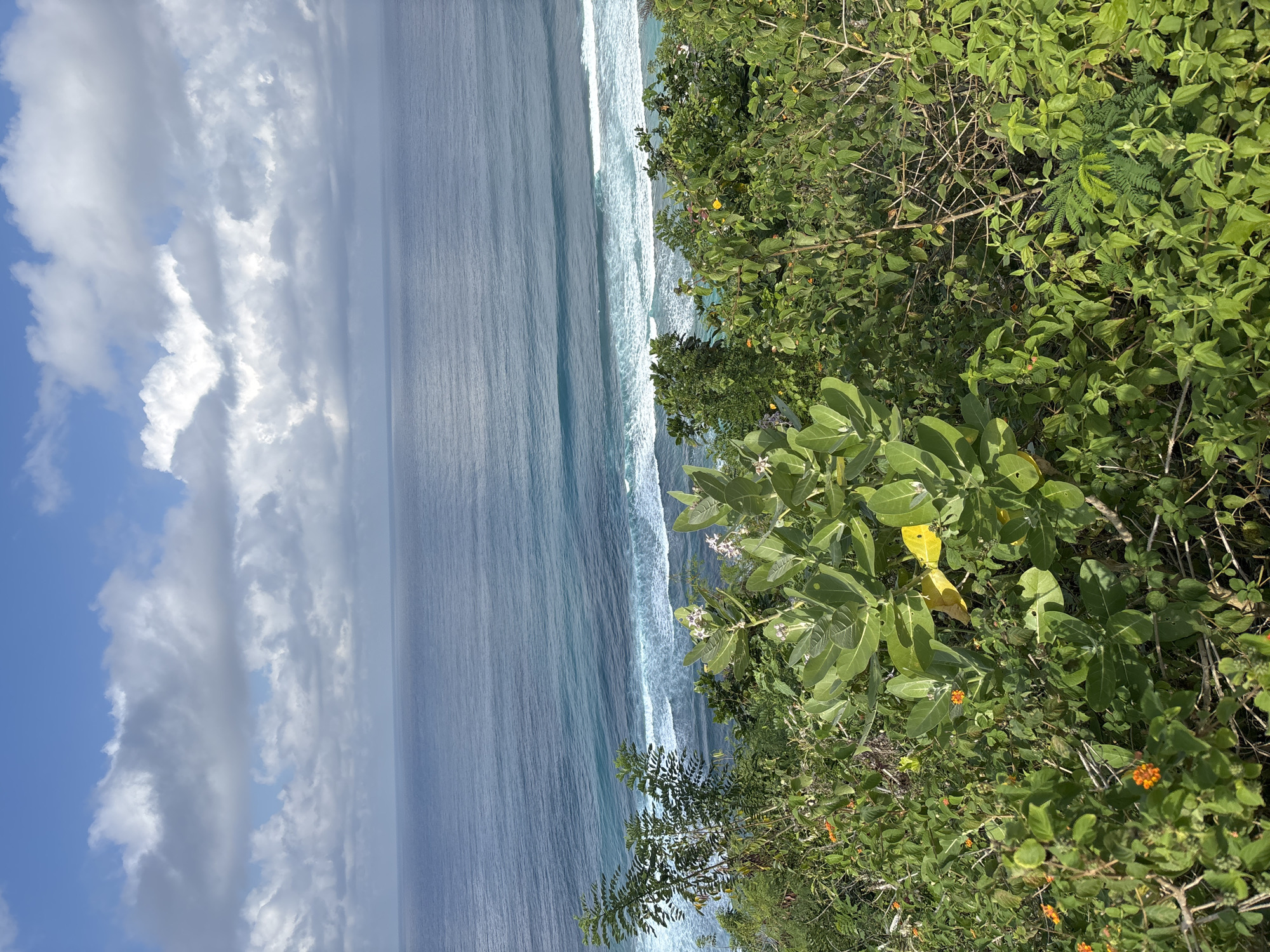 Coastal pathways and ocean views documented in Kuta Selatan