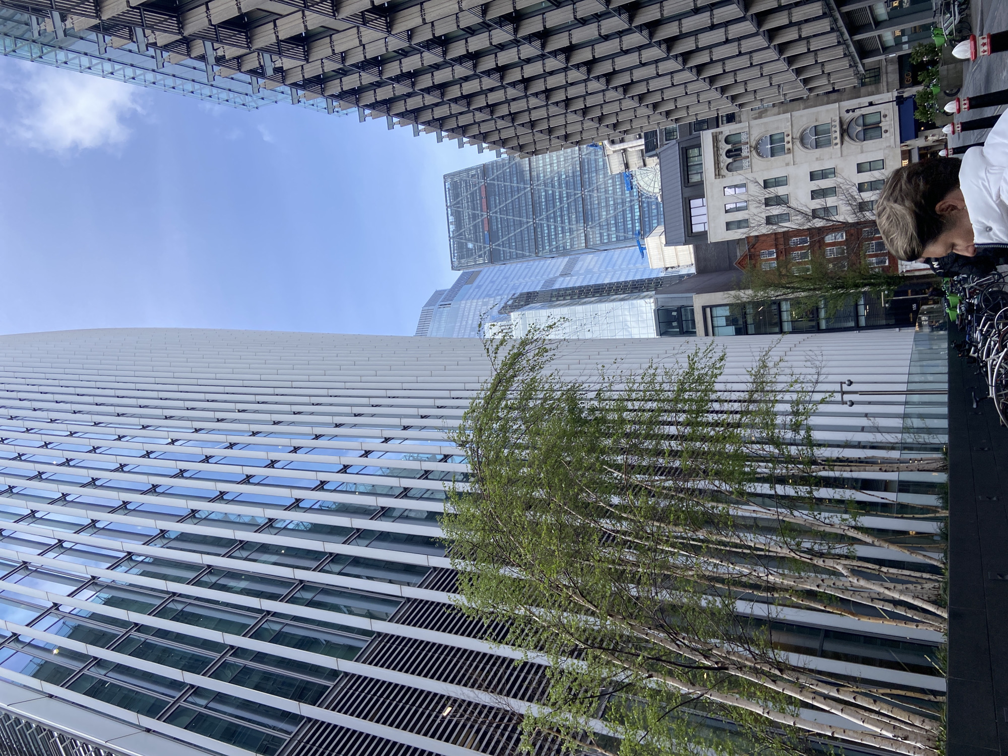 London observer documents urban architecture and tiger shop display