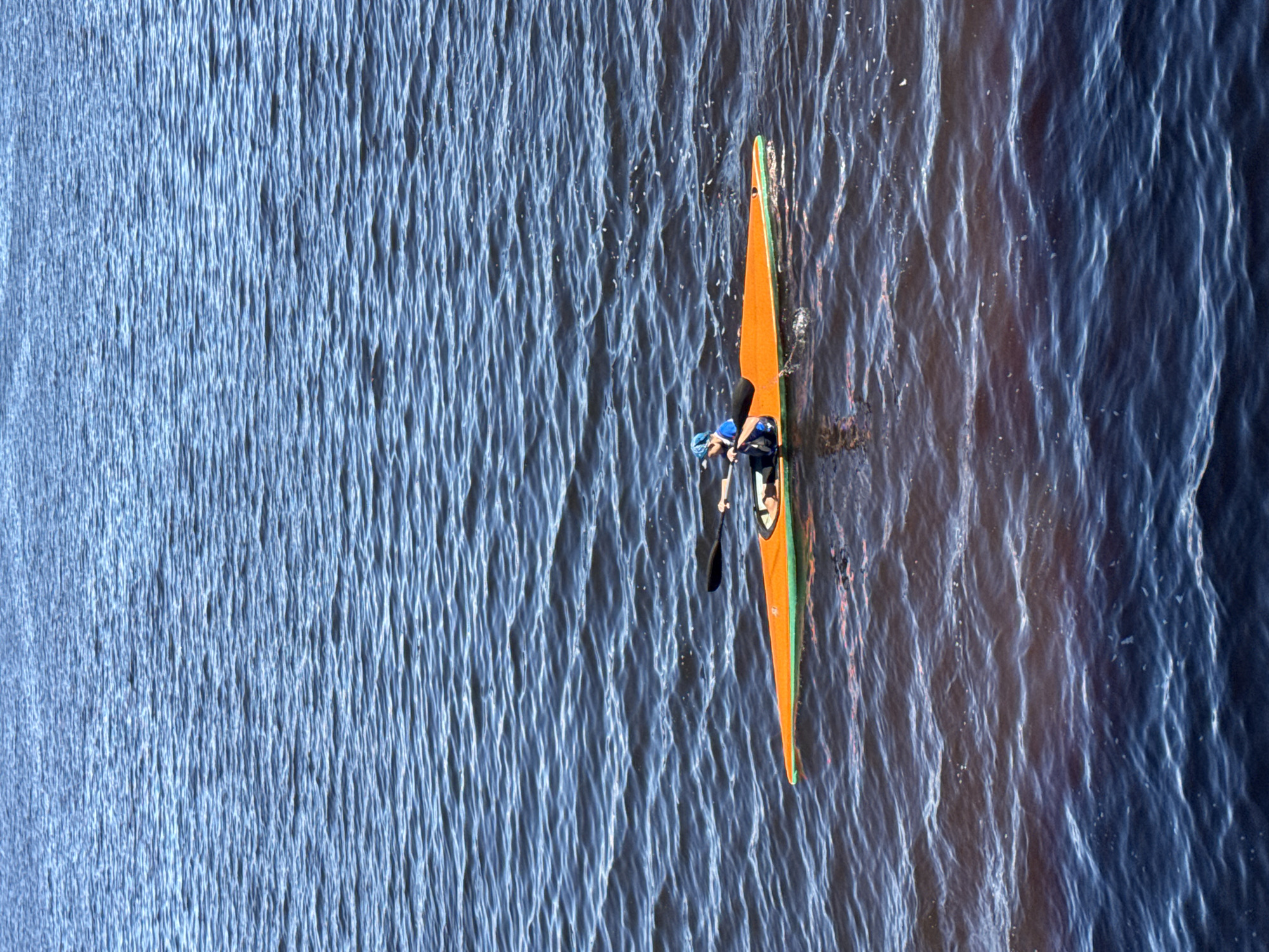 Paddling and a Samoyed on a Chaikovsky waterway