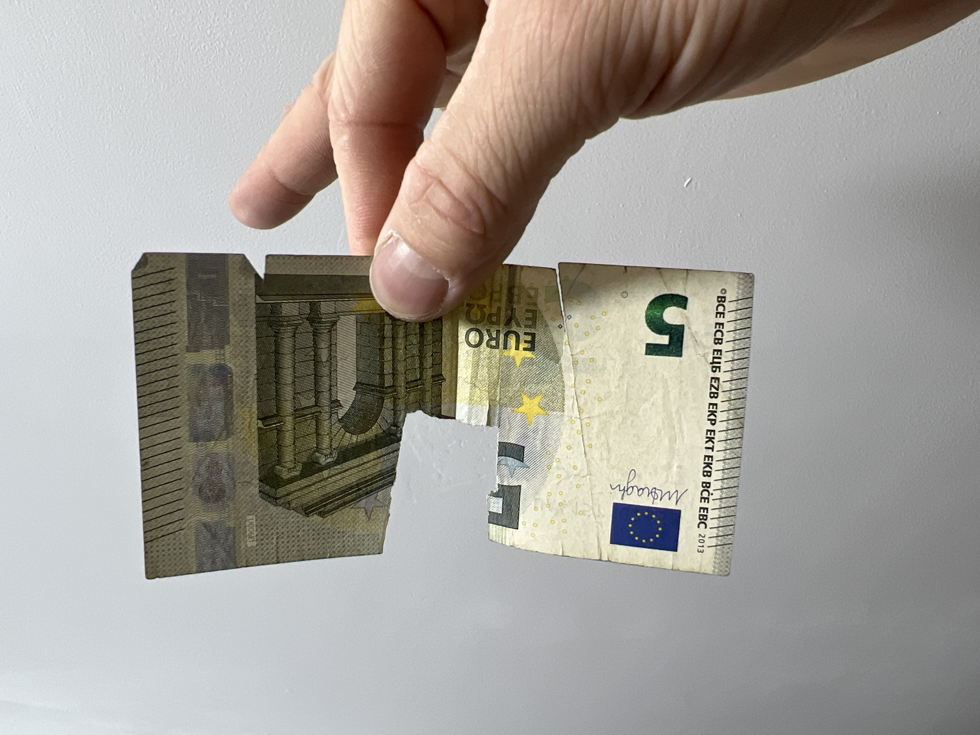 Torn Euro bill and orange cat observed within hour