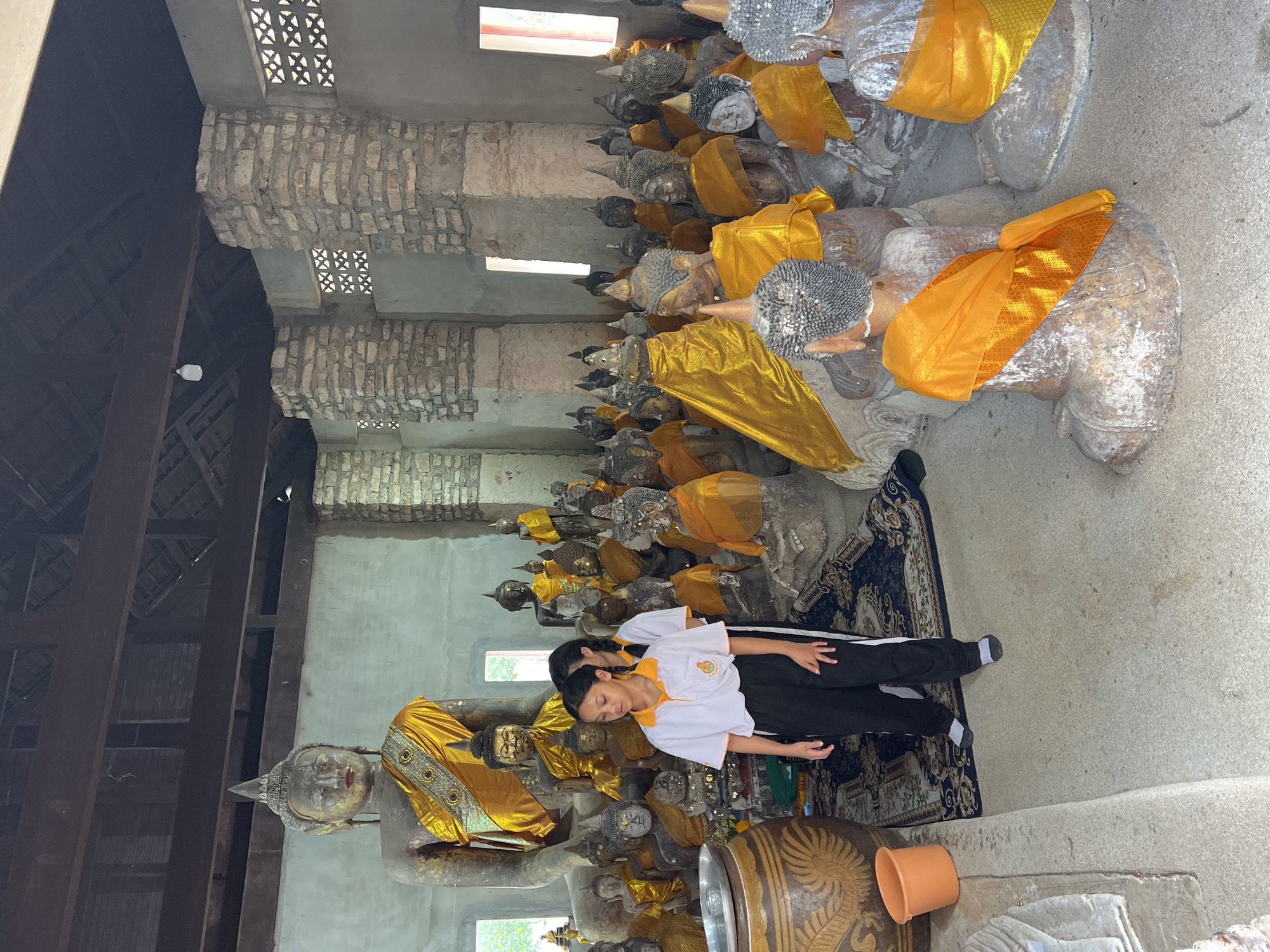 Ancient Buddha statue collection documented at Baan Harn temple