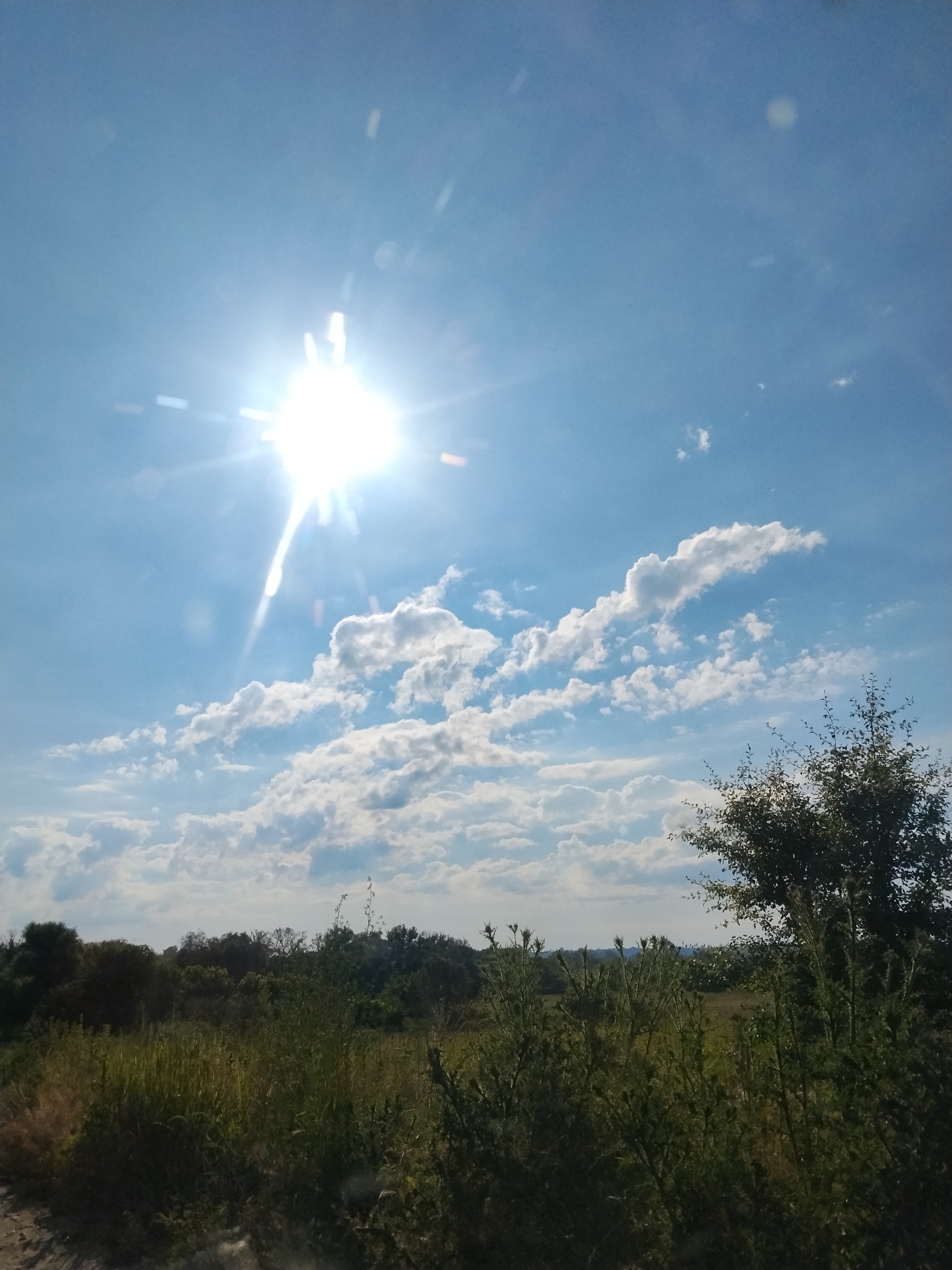 Quiet summer morning scenes from rural Ustyvytsia, Ukraine
