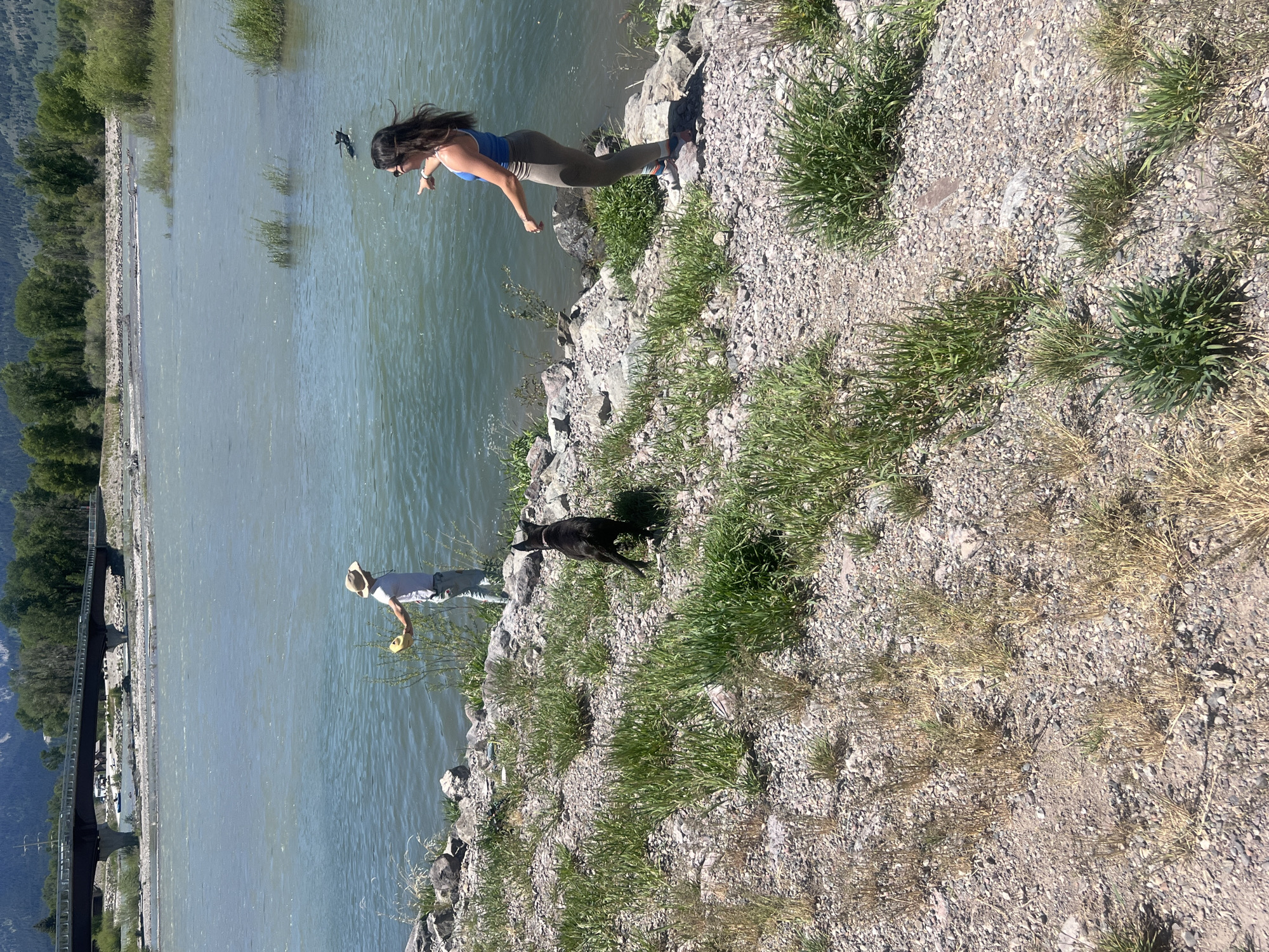 People, dogs enjoy sunny afternoon by Snake River near Wilson
