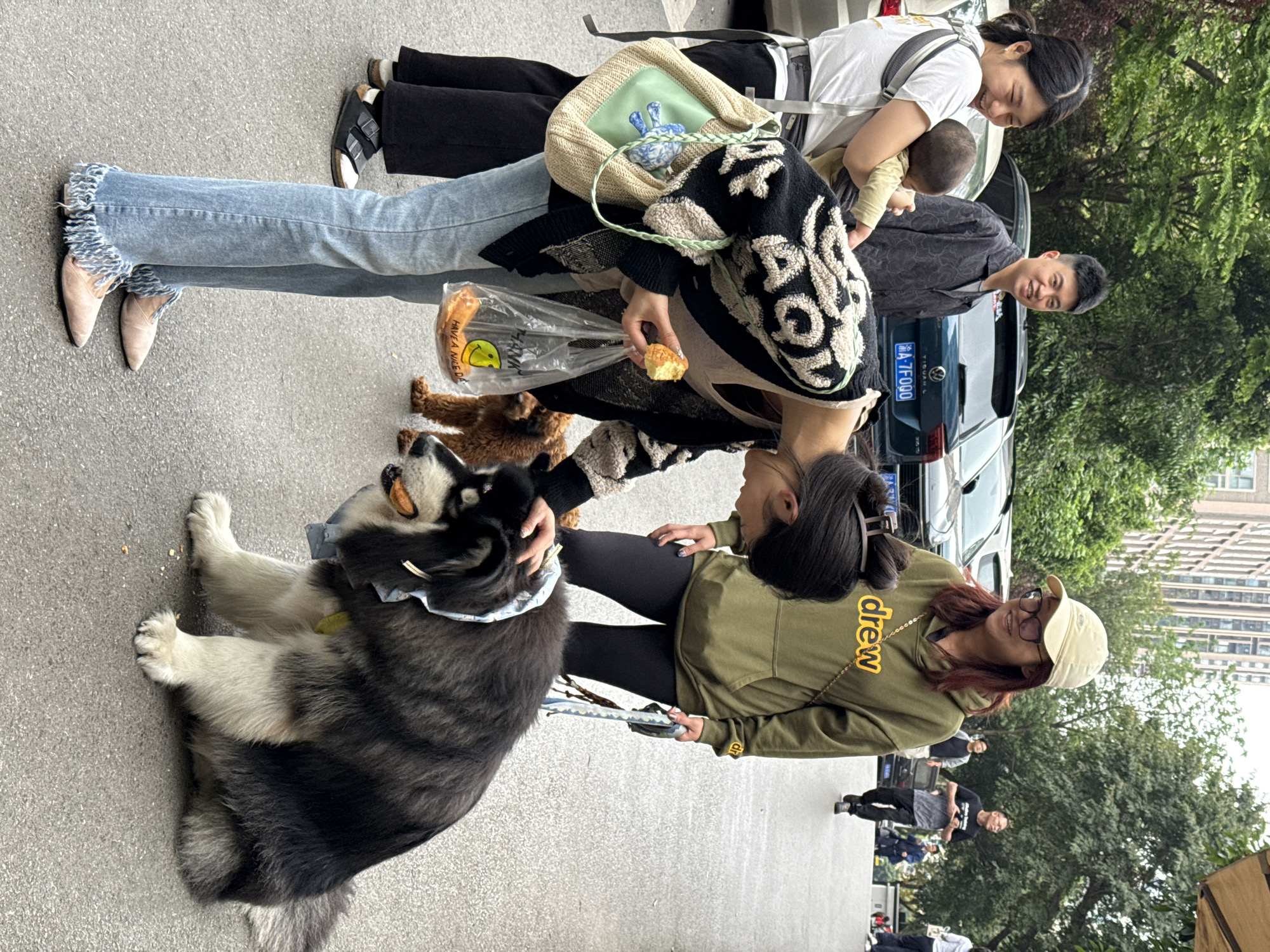 Large dog draws attention from pedestrians in Yuzhong District