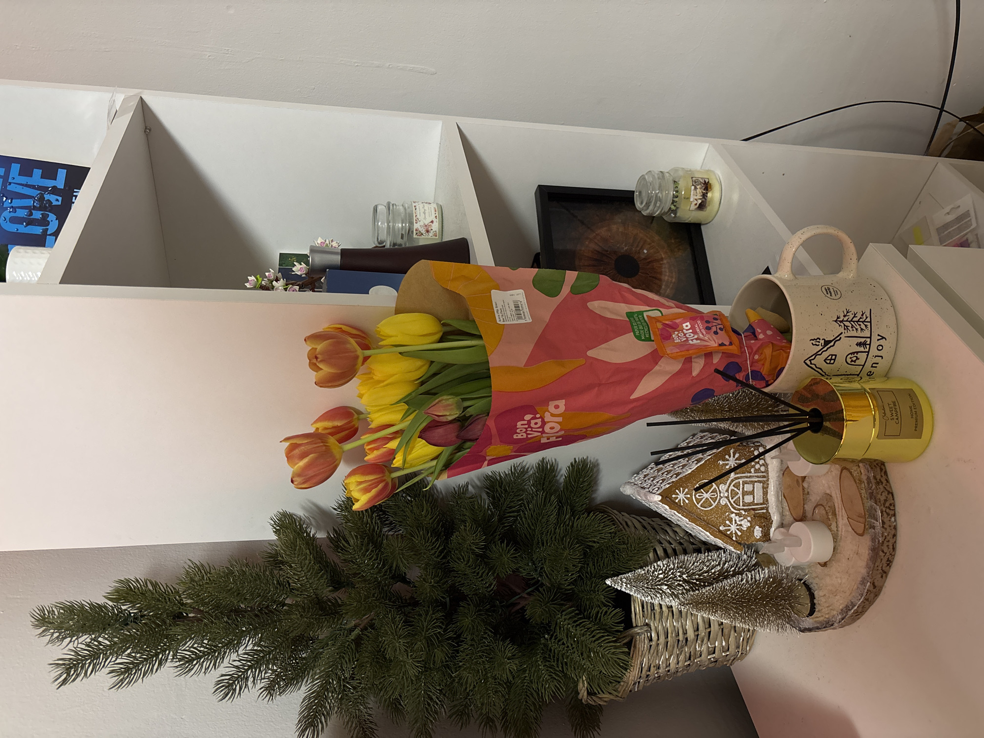 Evening glimpses of flowers and online browsing in Bulgarian town