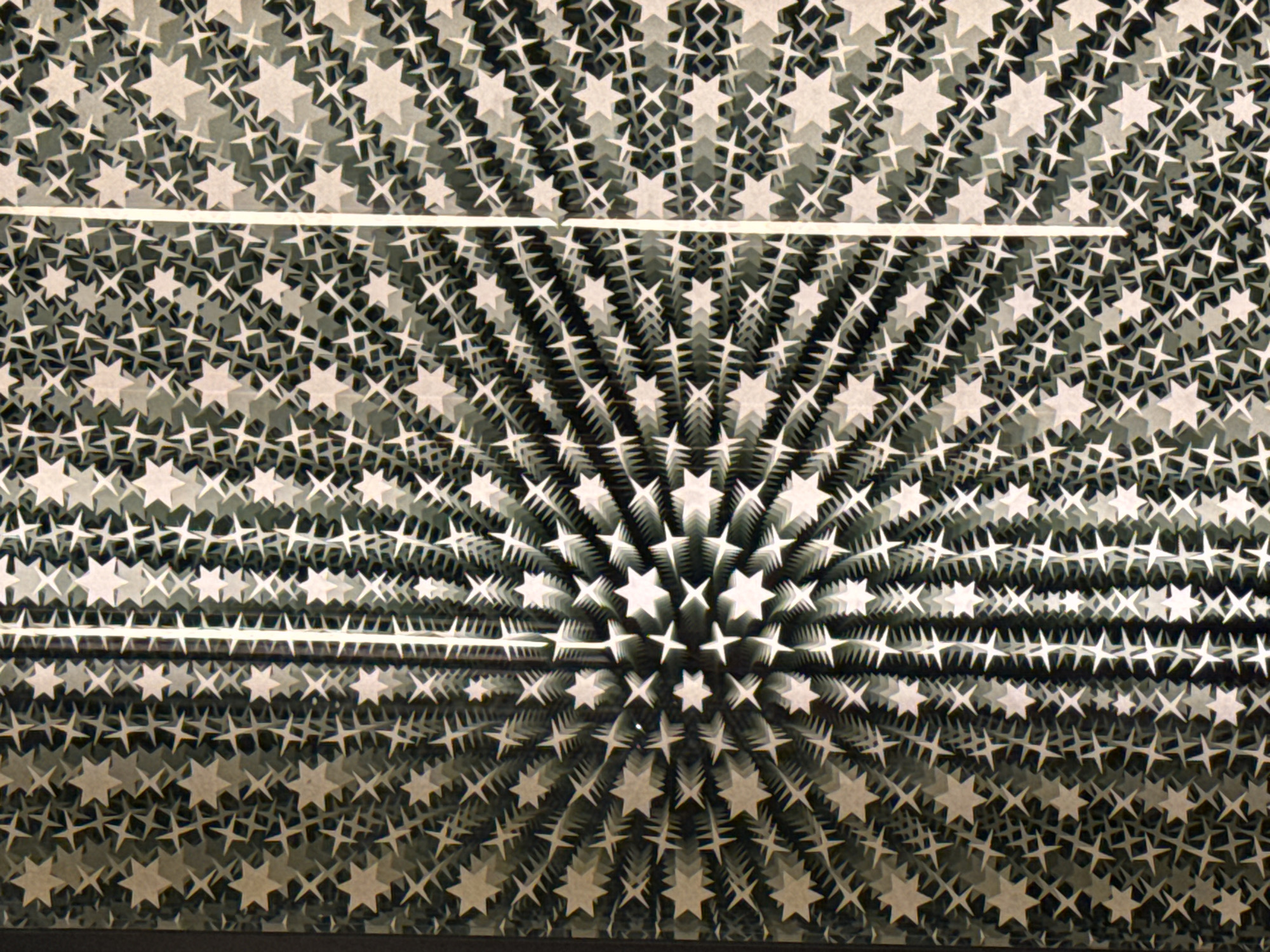 Visitor documents art installations at upscale Shanghai venue