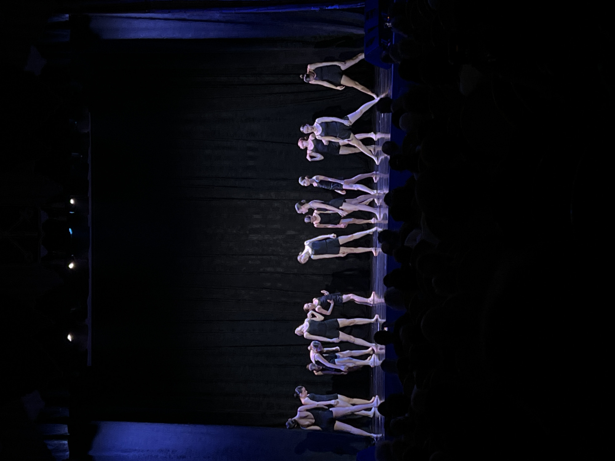 Ballet performance with dozen dancers captured in Saint Petersburg theater